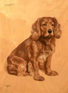 Hundeporträt des englischen Golden Spaniels "Laddy", um 1930