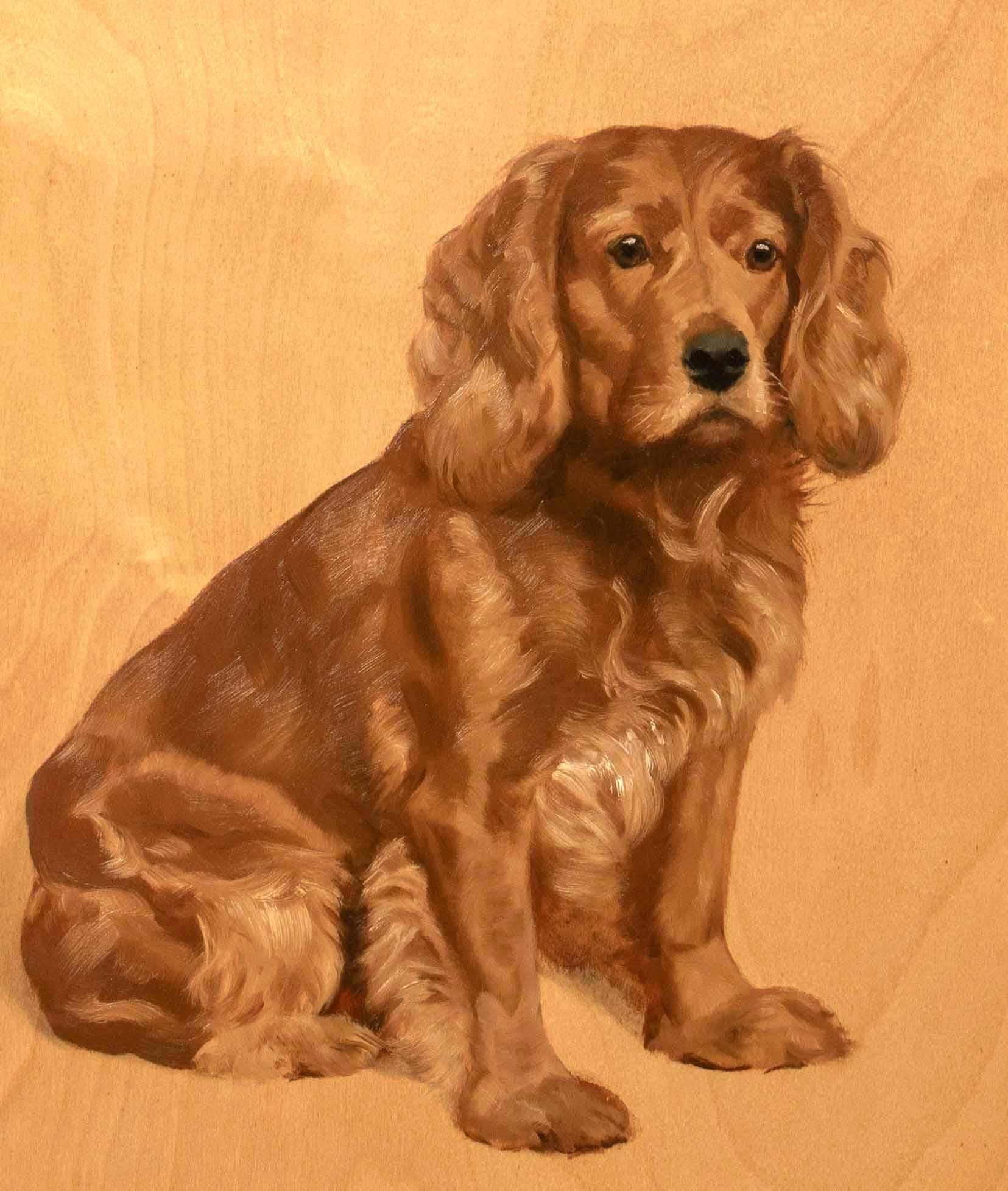 Retrato de Laddy, un Golden Spaniel inglés, hacia 1930

de Francis Mabel Hollams (1877-1963)

Gran retrato de Laddy, un Golden Spaniel inglés, realizado hacia 1930, óleo sobre tabla por Francis Mabel Hollams. Estudio de excelente calidad y estado