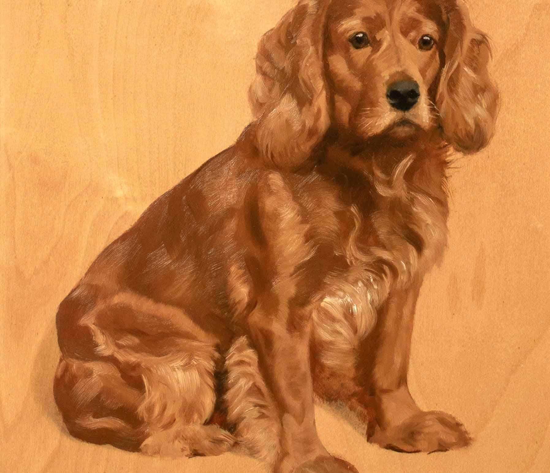 Retrato canino de 