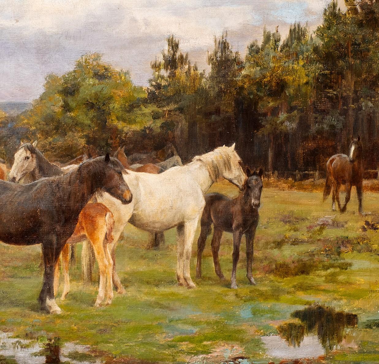 “Herd of Horses in a Marshy Landscape”
Frances Mabel Hollams (England 1877-1963)
Oil on canvas on board
14 x 20 (24 x 30 frame) inches
Signed “FM Hollams
Private Collection Durham, England

This highly unusual Frances Mabel Hollams features a herd