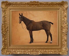 Horse portrait oil painting of a Bay hunter