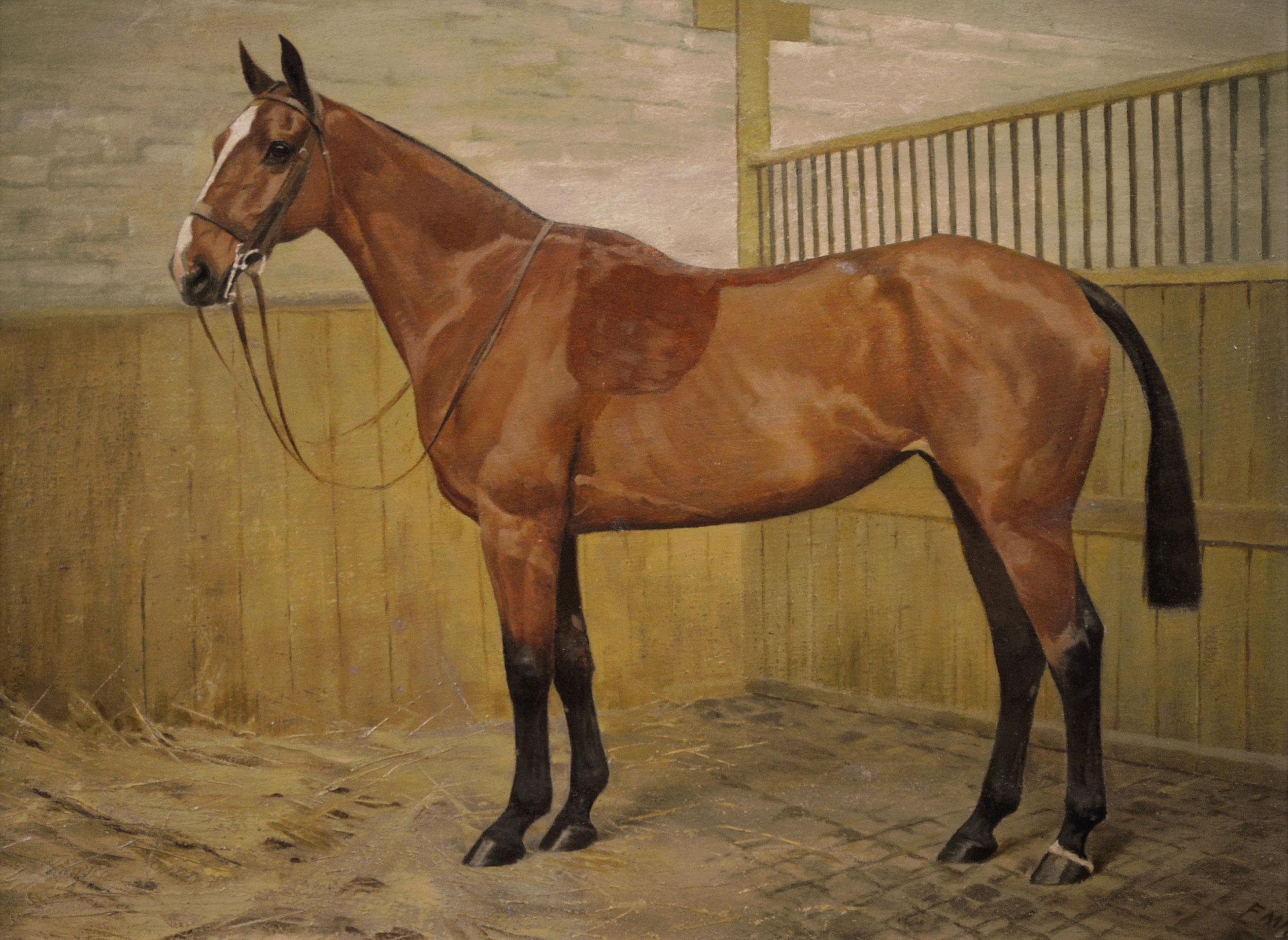 Ritratto di cavallo dipinto a olio di un cacciatore baio in una stalla - Painting di Florence Mabel Hollams