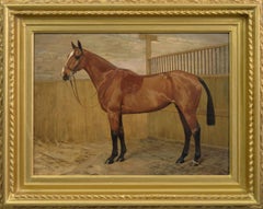 Horse portrait oil painting of a bay hunter in a stable