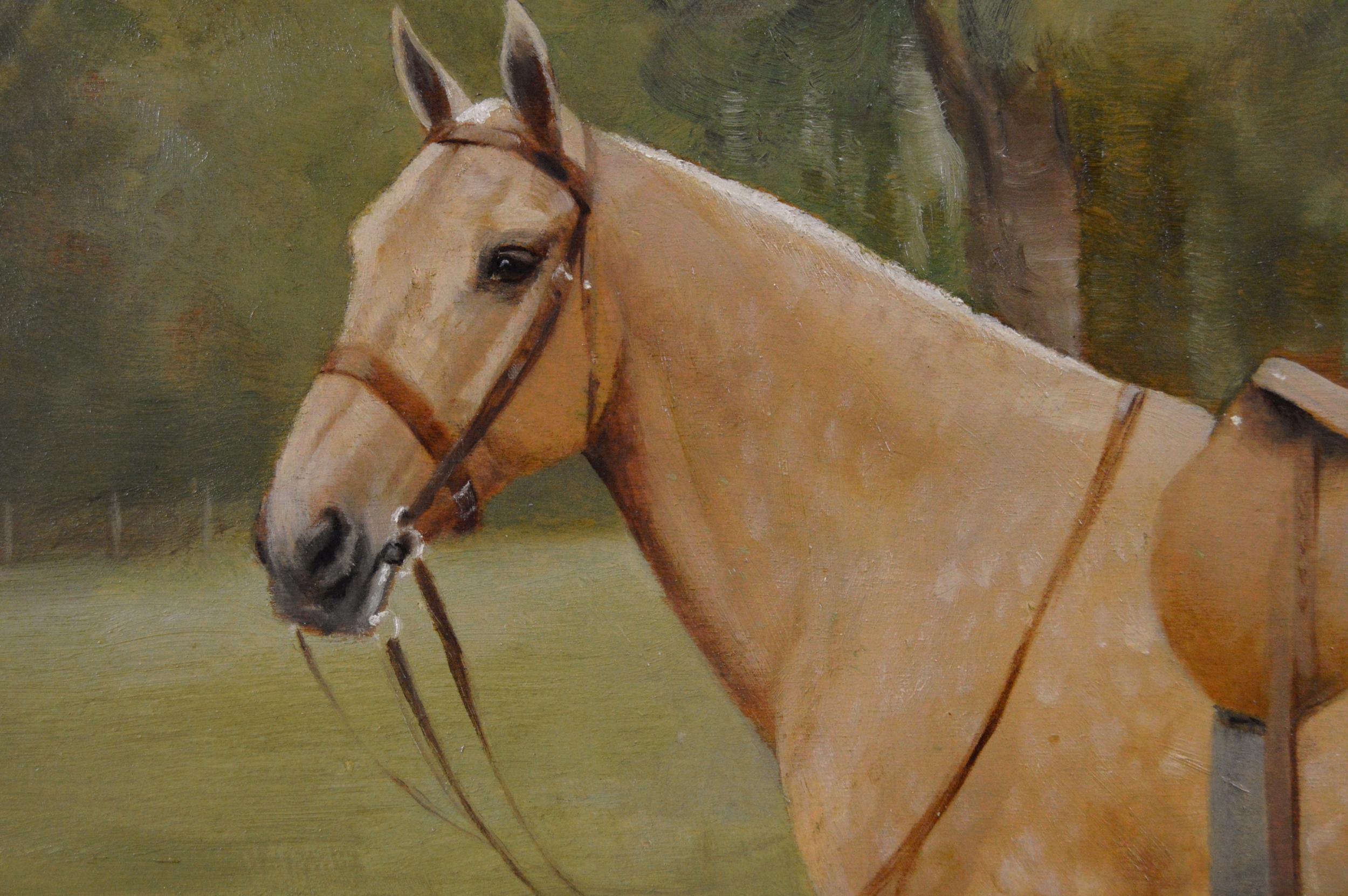 palomino belgian horse