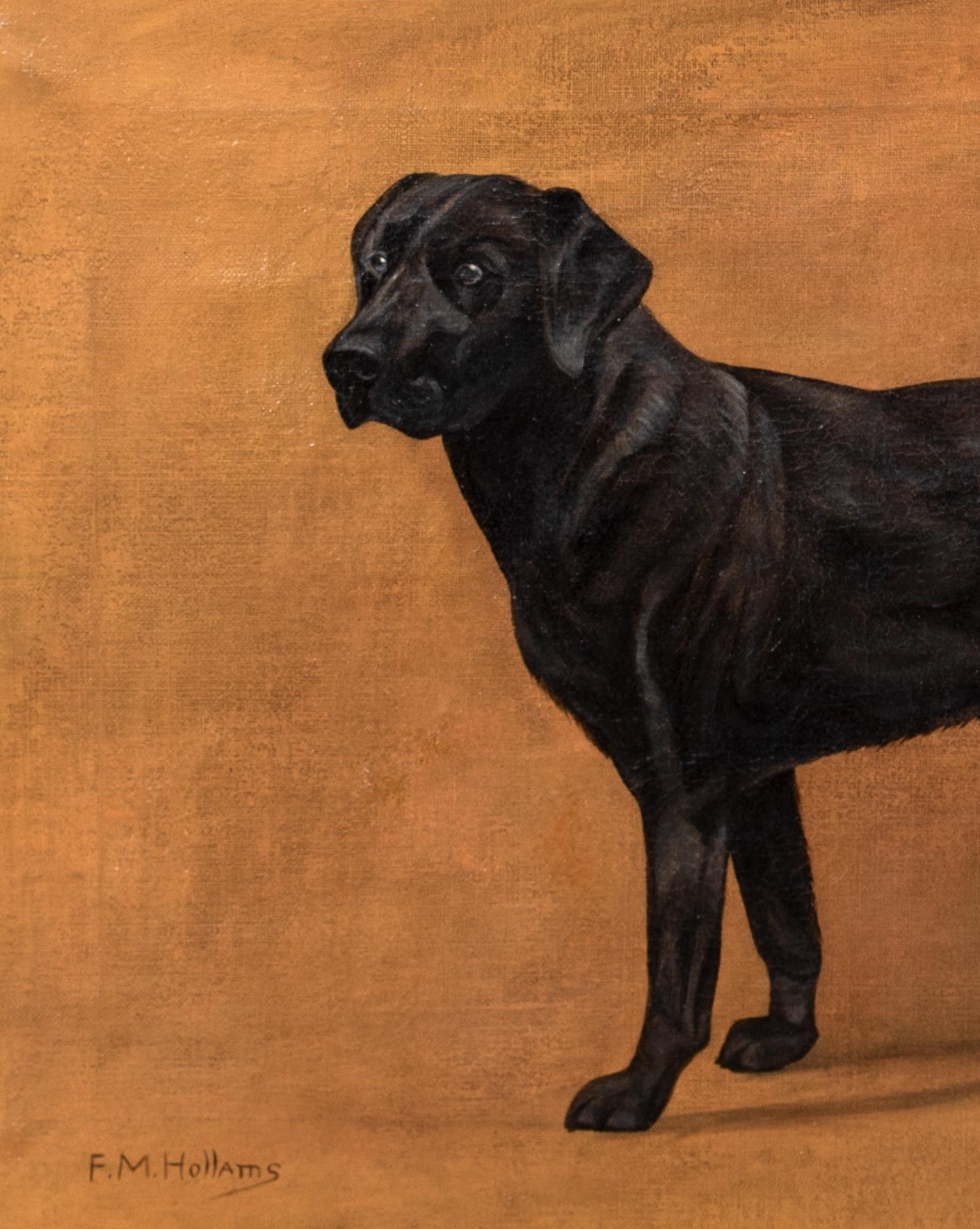 Ritratto di un Labrador nero, XIX secolo   Frances Mabel HOLLAMS (1877-1963) 6