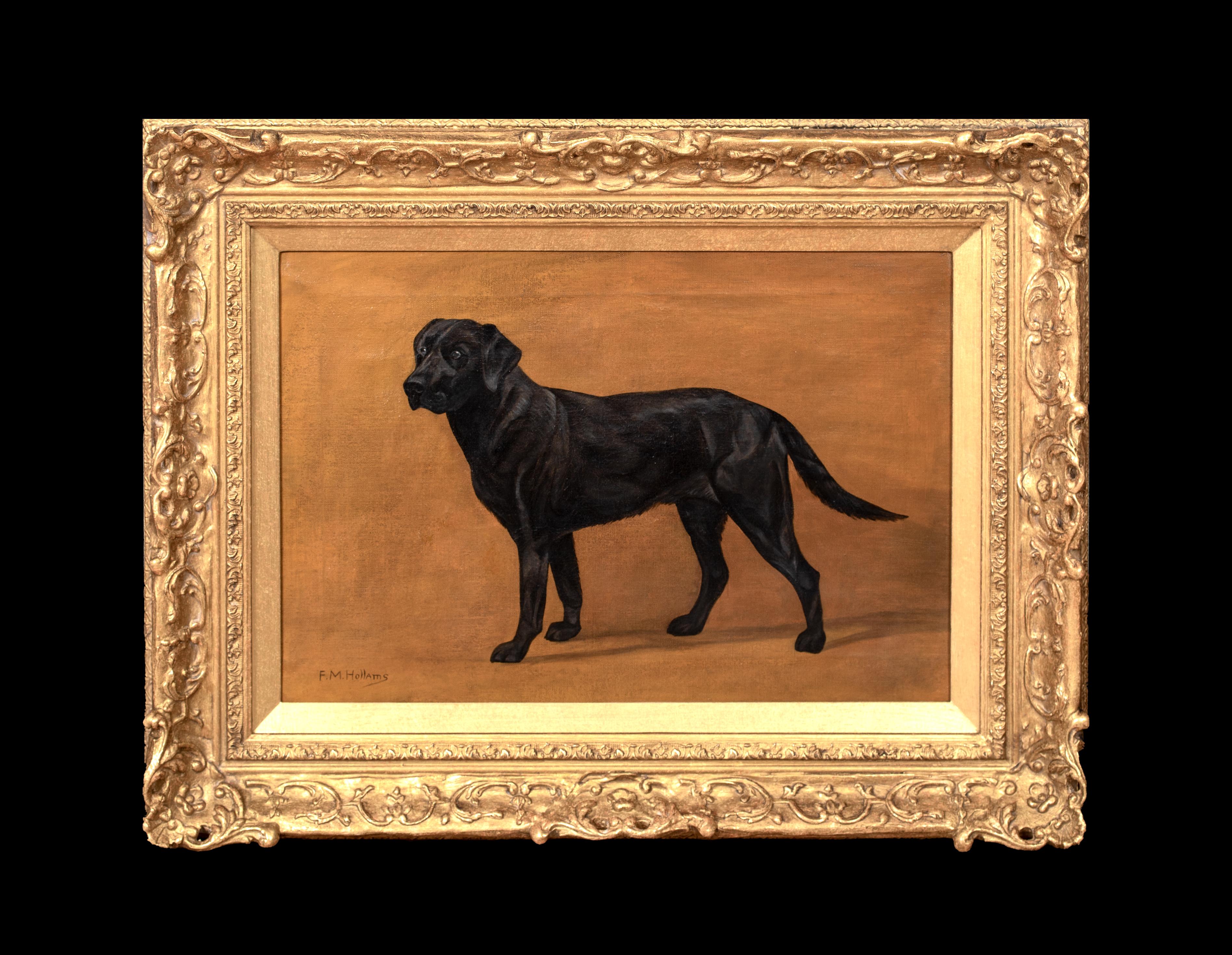 Ritratto di un Labrador nero, XIX secolo   Frances Mabel HOLLAMS (1877-1963) - Painting di Florence Mabel Hollams