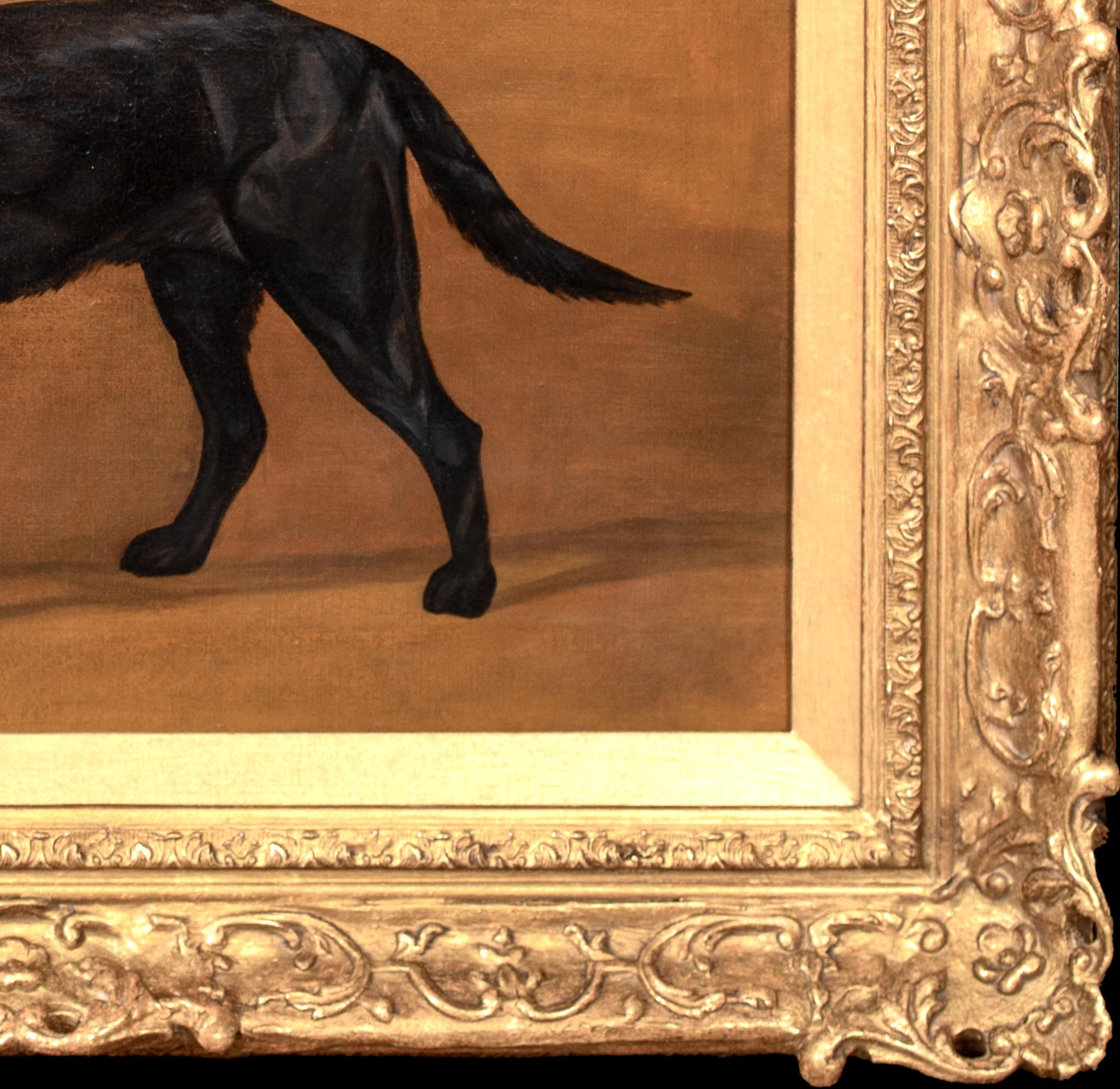 Ritratto di un Labrador nero, XIX secolo 

Frances Mabel HOLLAMS (1877-1963)

Grande ritratto inglese del XIX secolo di un Labrador nero, olio su tela di Frances Mabel Hollams. Esempio di eccellente qualità e condizione della famosa pittrice che