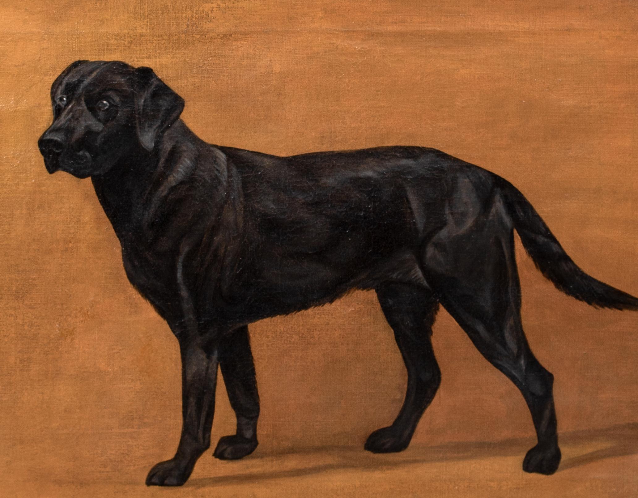 Ritratto di un Labrador nero, XIX secolo   Frances Mabel HOLLAMS (1877-1963) 1