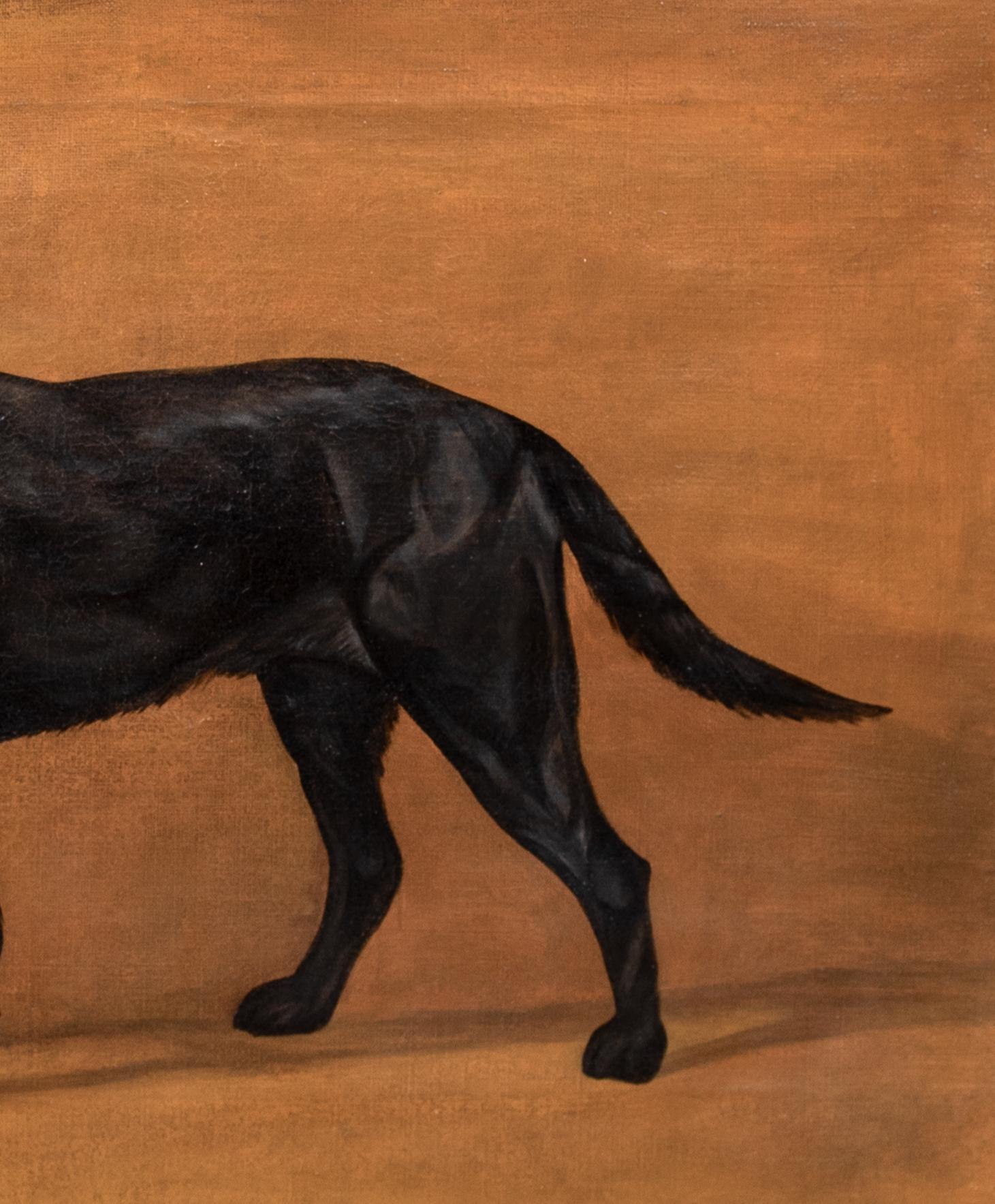 Ritratto di un Labrador nero, XIX secolo   Frances Mabel HOLLAMS (1877-1963) 2