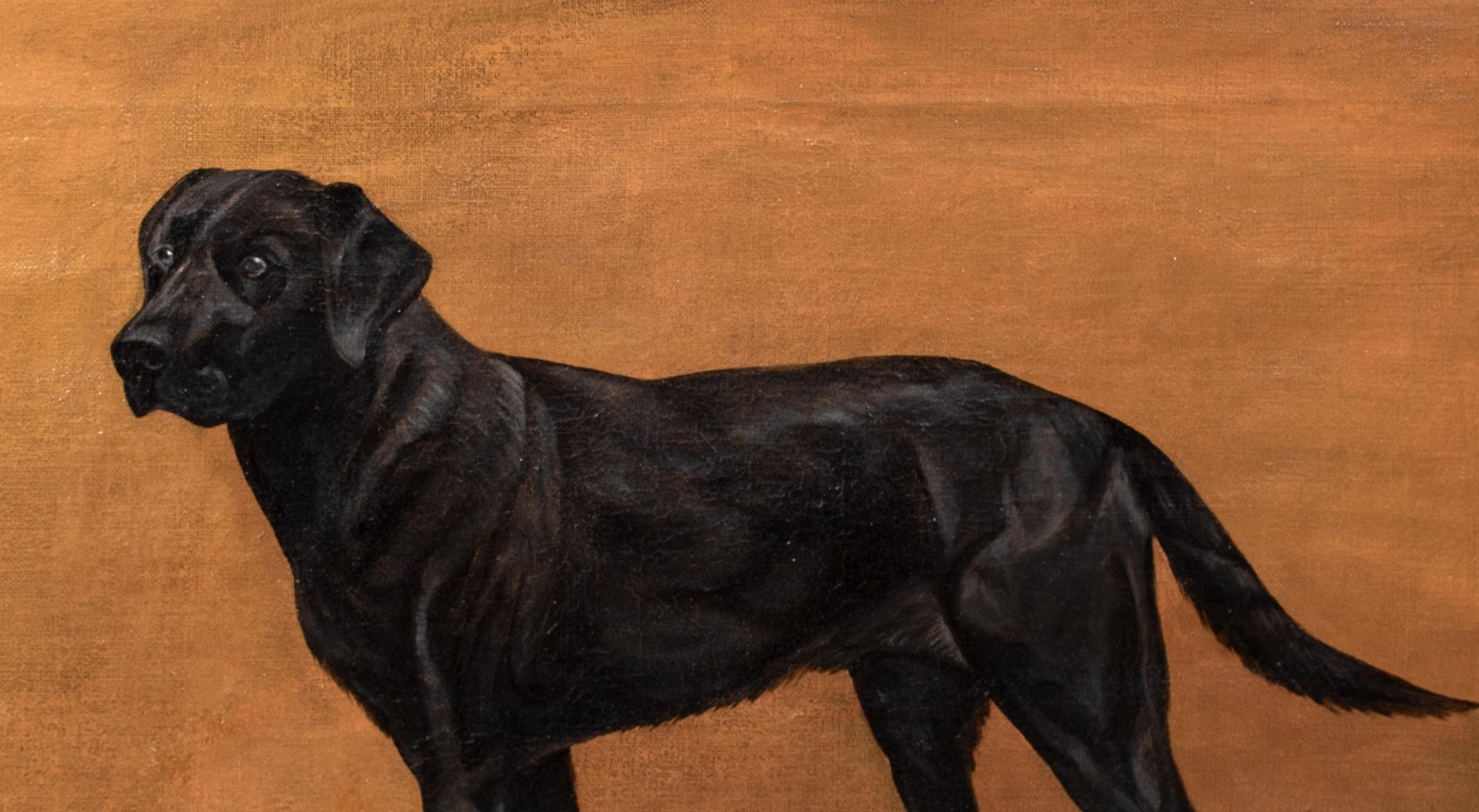 Ritratto di un Labrador nero, XIX secolo   Frances Mabel HOLLAMS (1877-1963) 3