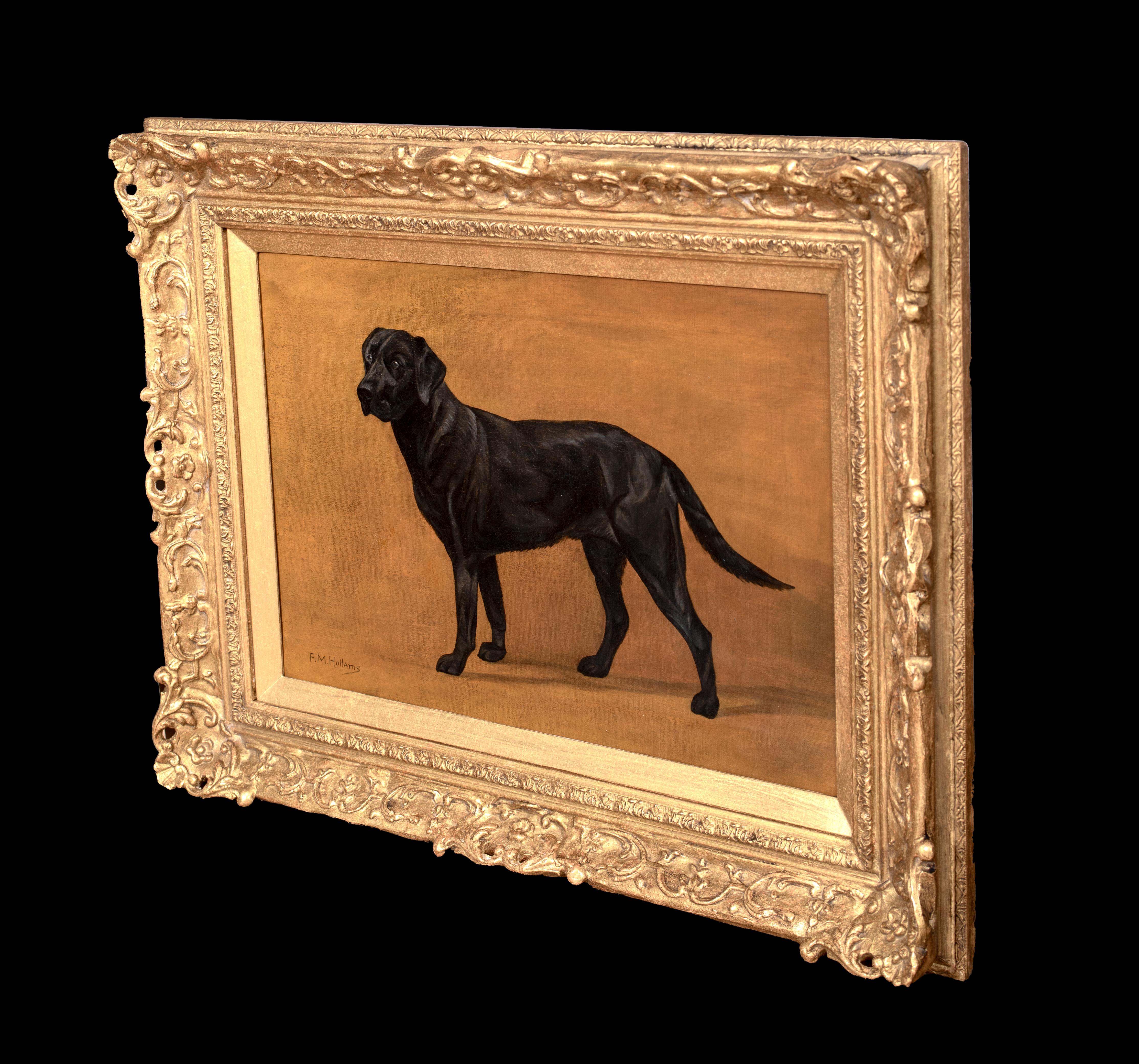 Ritratto di un Labrador nero, XIX secolo   Frances Mabel HOLLAMS (1877-1963) 4