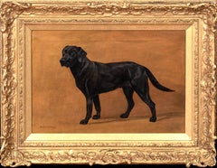 Ritratto di un Labrador nero, XIX secolo   Frances Mabel HOLLAMS (1877-1963)