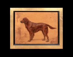 Porträt von "Finn", einem roten Setter, 19. Jahrhundert   Frances Mabel HOLLAMS