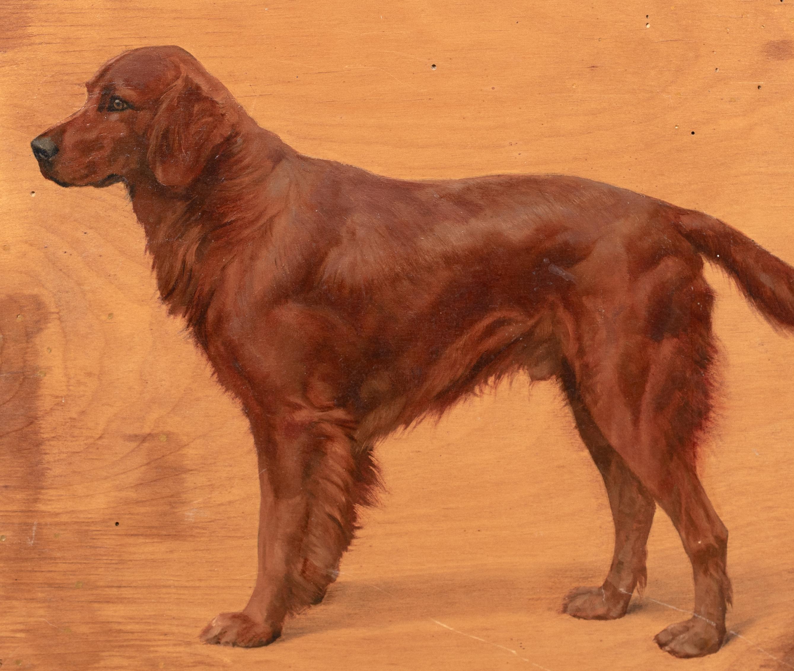 Portrait Of 