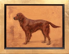 Ritratto di "Finn", un setter rosso, XIX secolo   Frances Mabel HOLLAMS