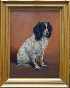 Portrait of Freda the Springer Spaniel - British animal oil painting dog art