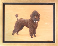 Portrait de "Sucre", caniche standard, 19e siècle   HOLLAMS Frances Mabel