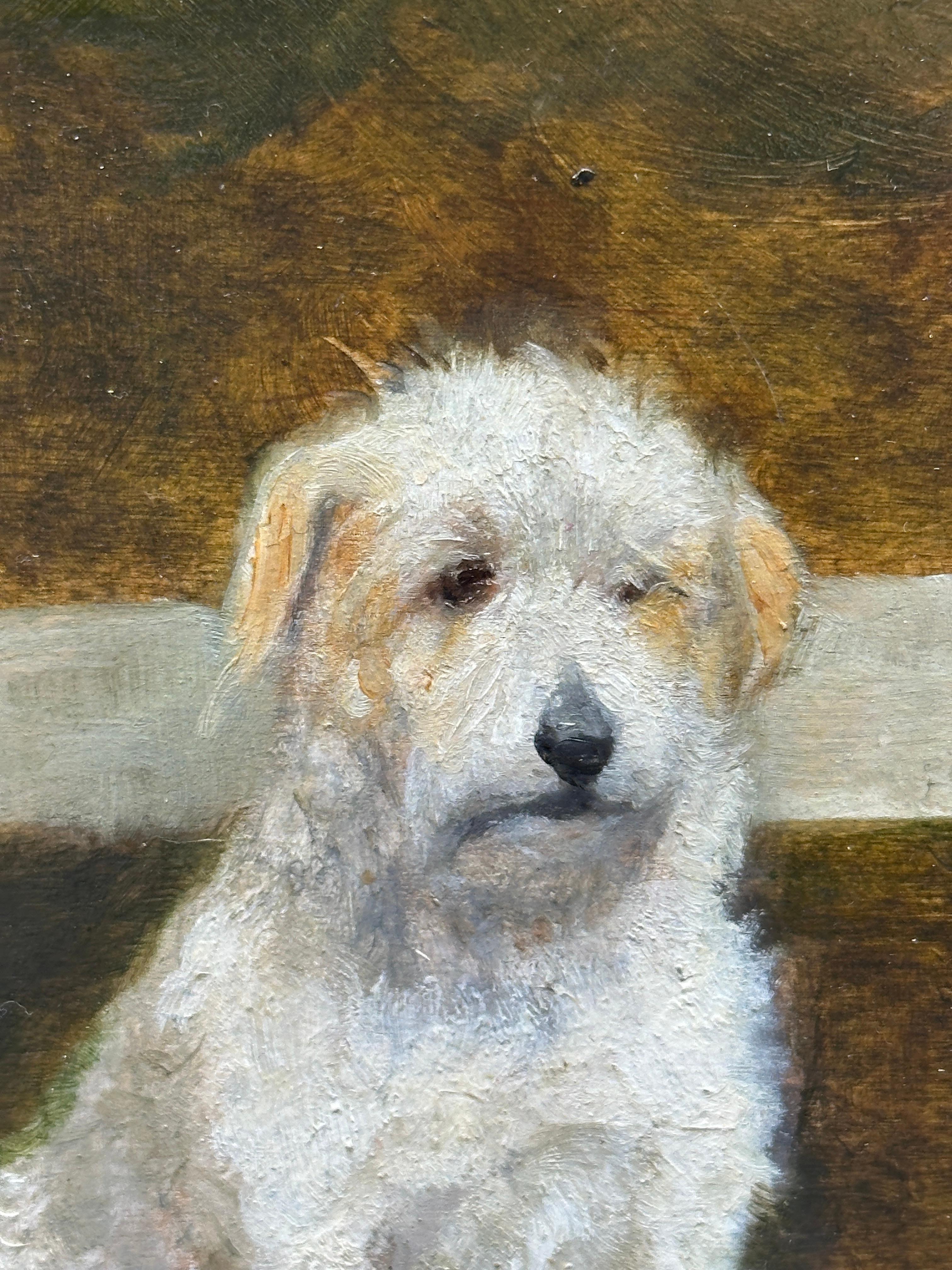 Portrait von Wire Fox Terrier oder Westie, Englisch in einer Landschaft in drei Bildern im Angebot 3