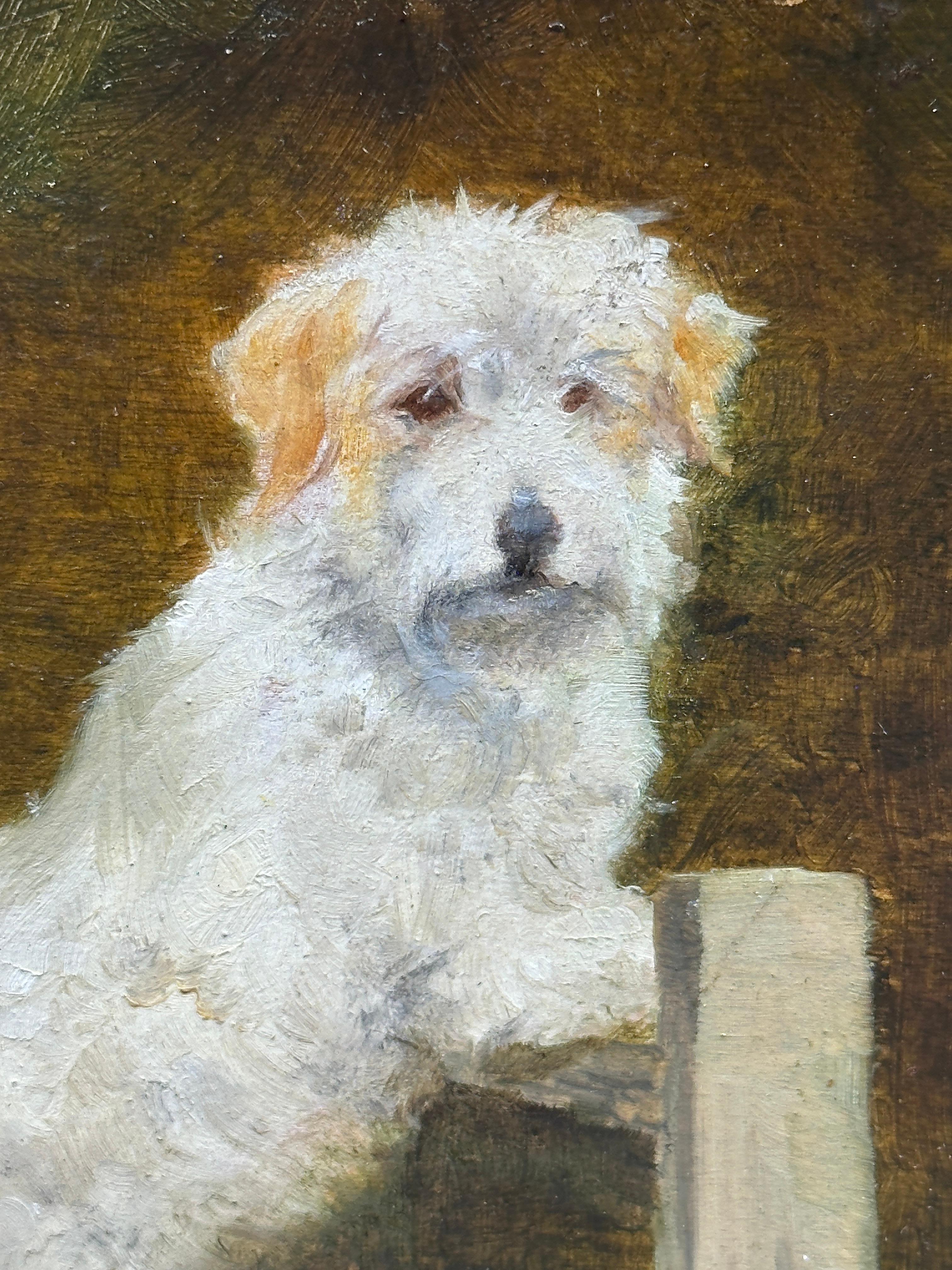 Portrait von Wire Fox Terrier oder Westie, Englisch in einer Landschaft in drei Bildern im Angebot 4