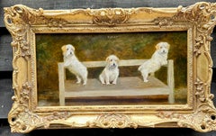Portrait of Wire Fox Terrier or Westie, English in a landscape in three images
