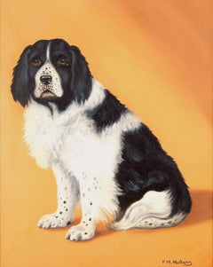 Spaniel Portrait - Fine Early 20th Century English Dog Oil on Canvas Painting