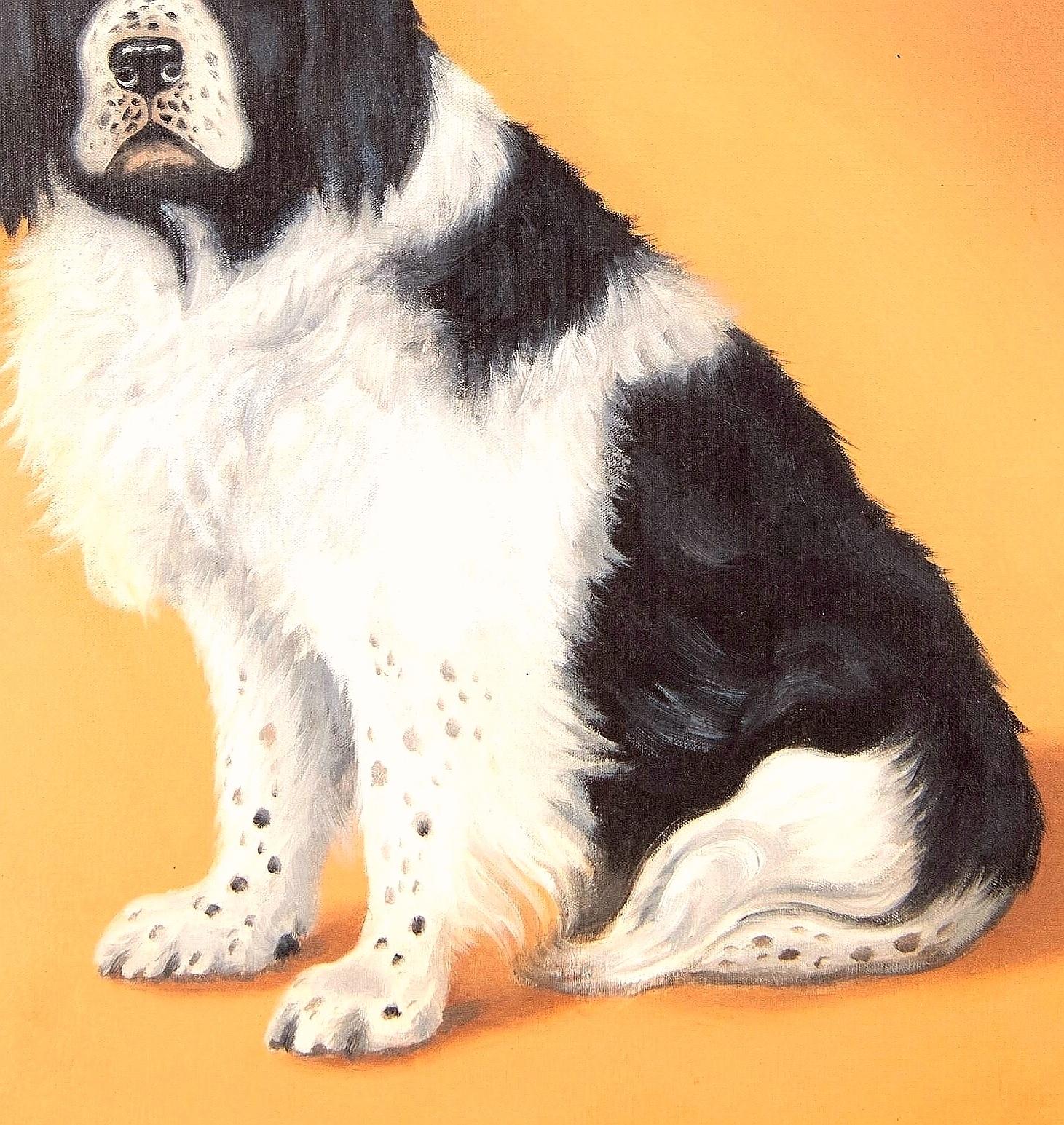 Magnifique portrait d'un épagneul du début du 20e siècle, réalisé à l'huile sur toile par Florence Mabel Hollams.

Travail d'excellente qualité et en bon état de ce populaire artiste animalier anglais. Signée en bas à droite et présentée dans un