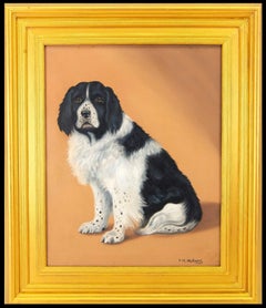 Spaniel Portrait - Englischer Hund Öl auf Leinwand Gemälde aus dem frühen 20.