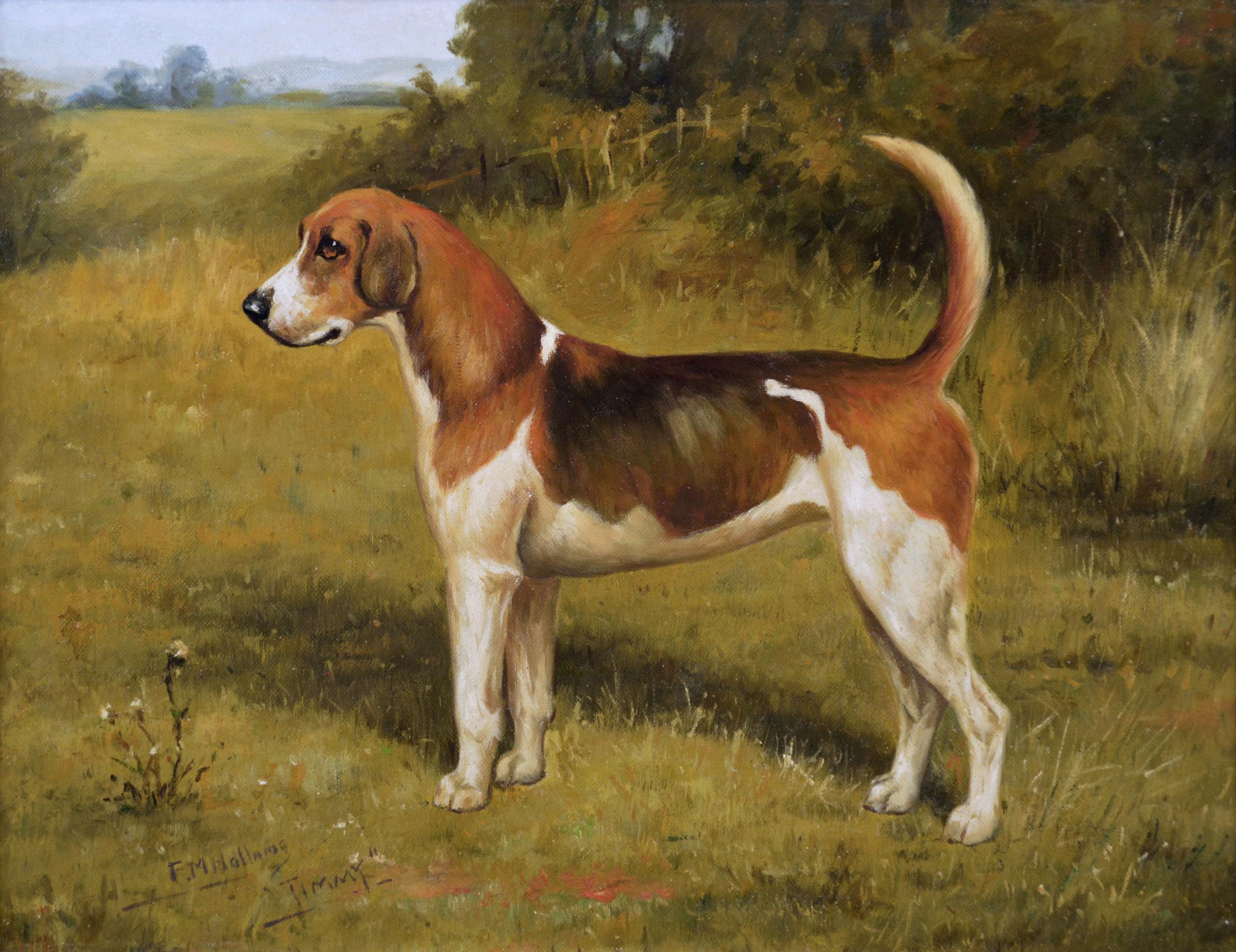 Sporting oil painting dog portrait of a Harrier - Painting by Florence Mabel Hollams