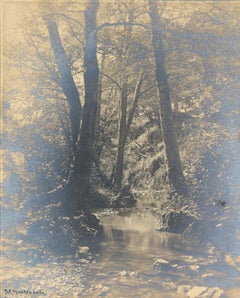 Stilles Bächlein im Wald - Silbergelatineabzug