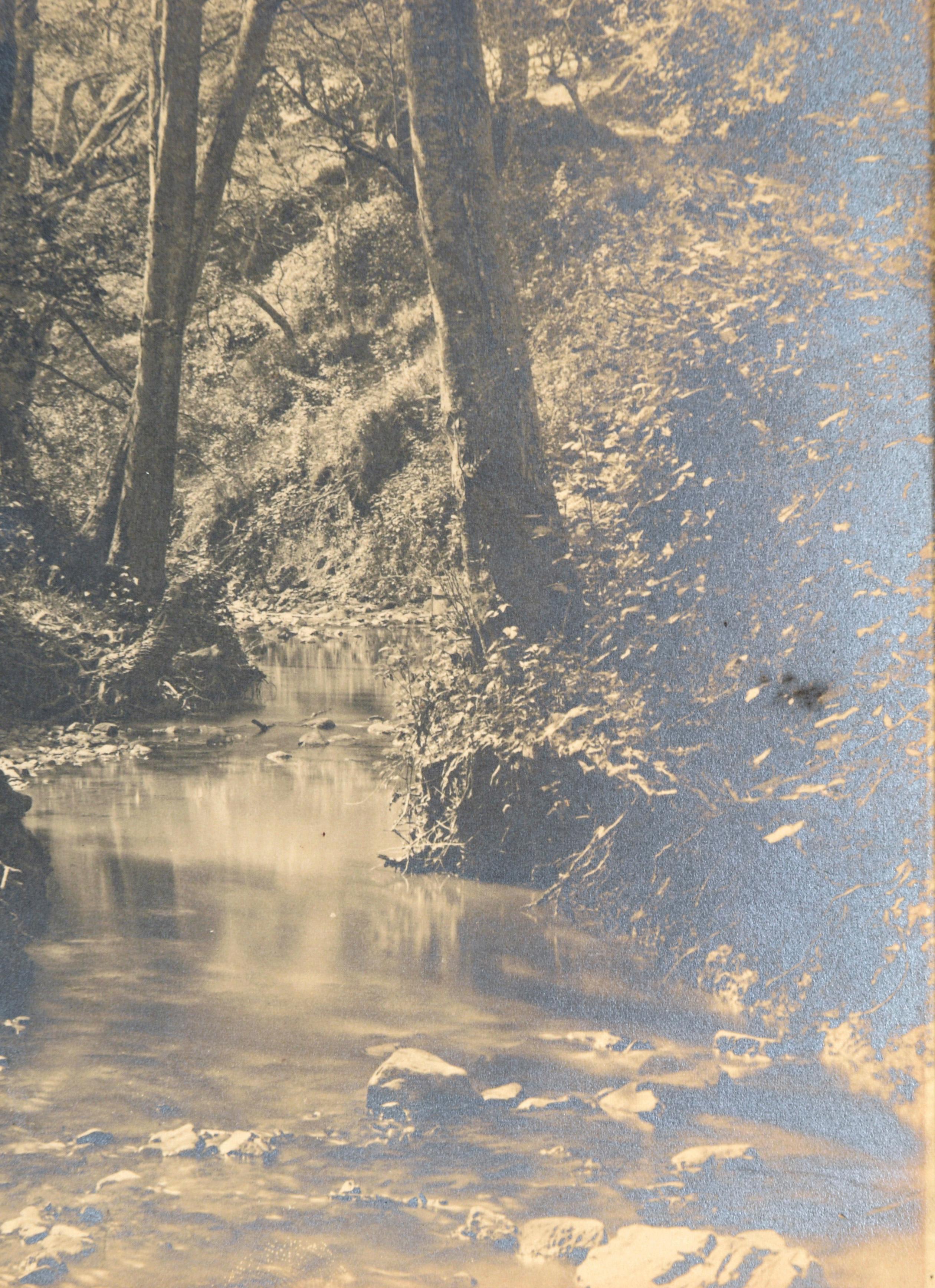 Ruisseau tranquille dans la forêt - Silver Gelatin Print - Réalisme Photograph par Florencio E. Monteverde