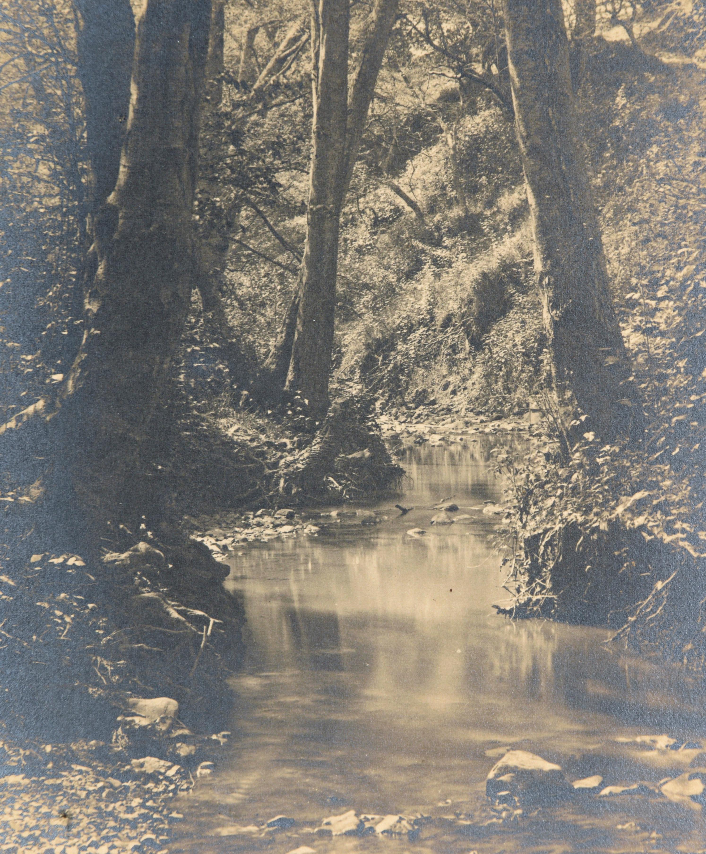 Ruisseau tranquille dans la forêt - Silver Gelatin Print - Noir Black and White Photograph par Florencio E. Monteverde