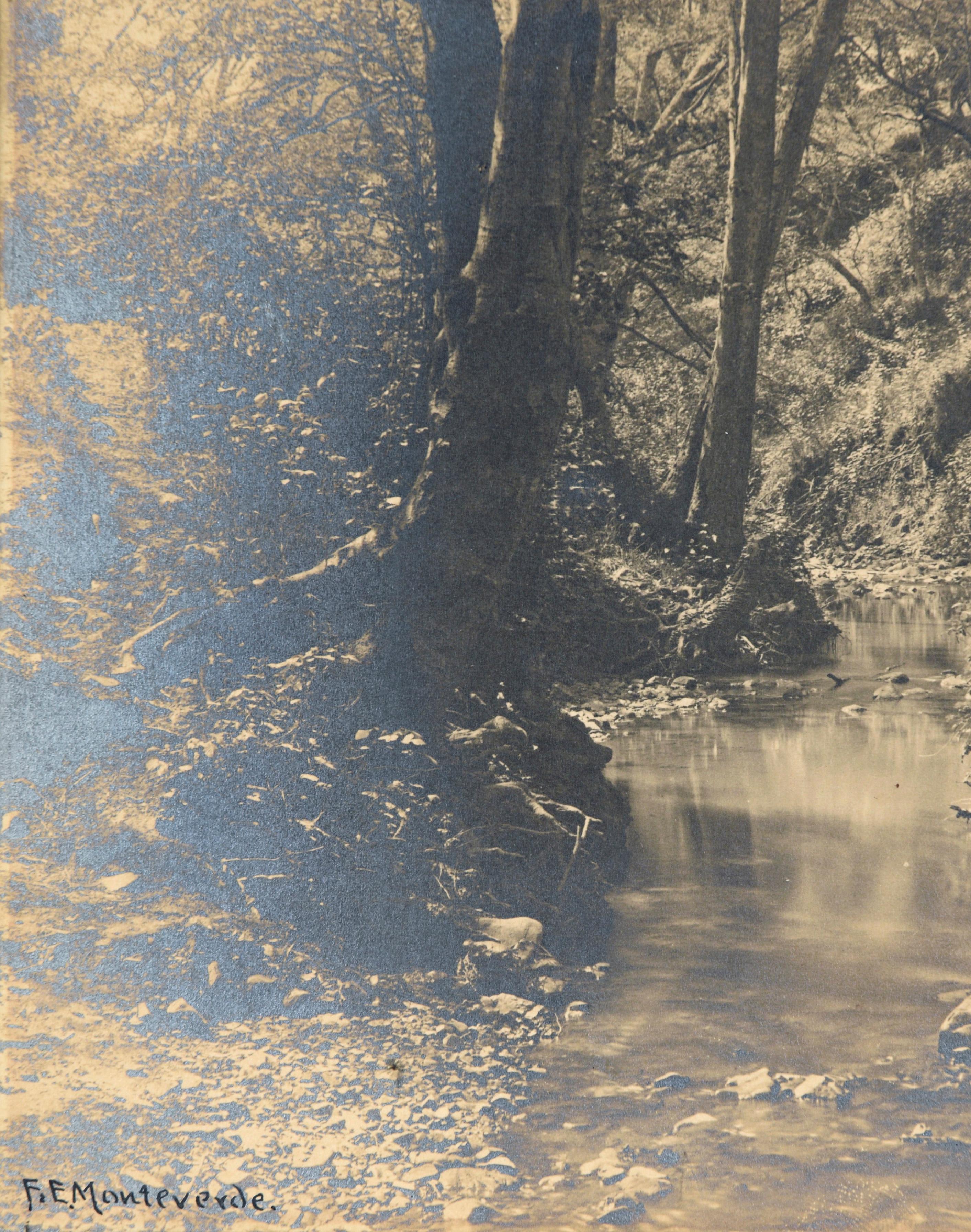Ruisseau tranquille dans la forêt - Silver Gelatin Print en vente 1
