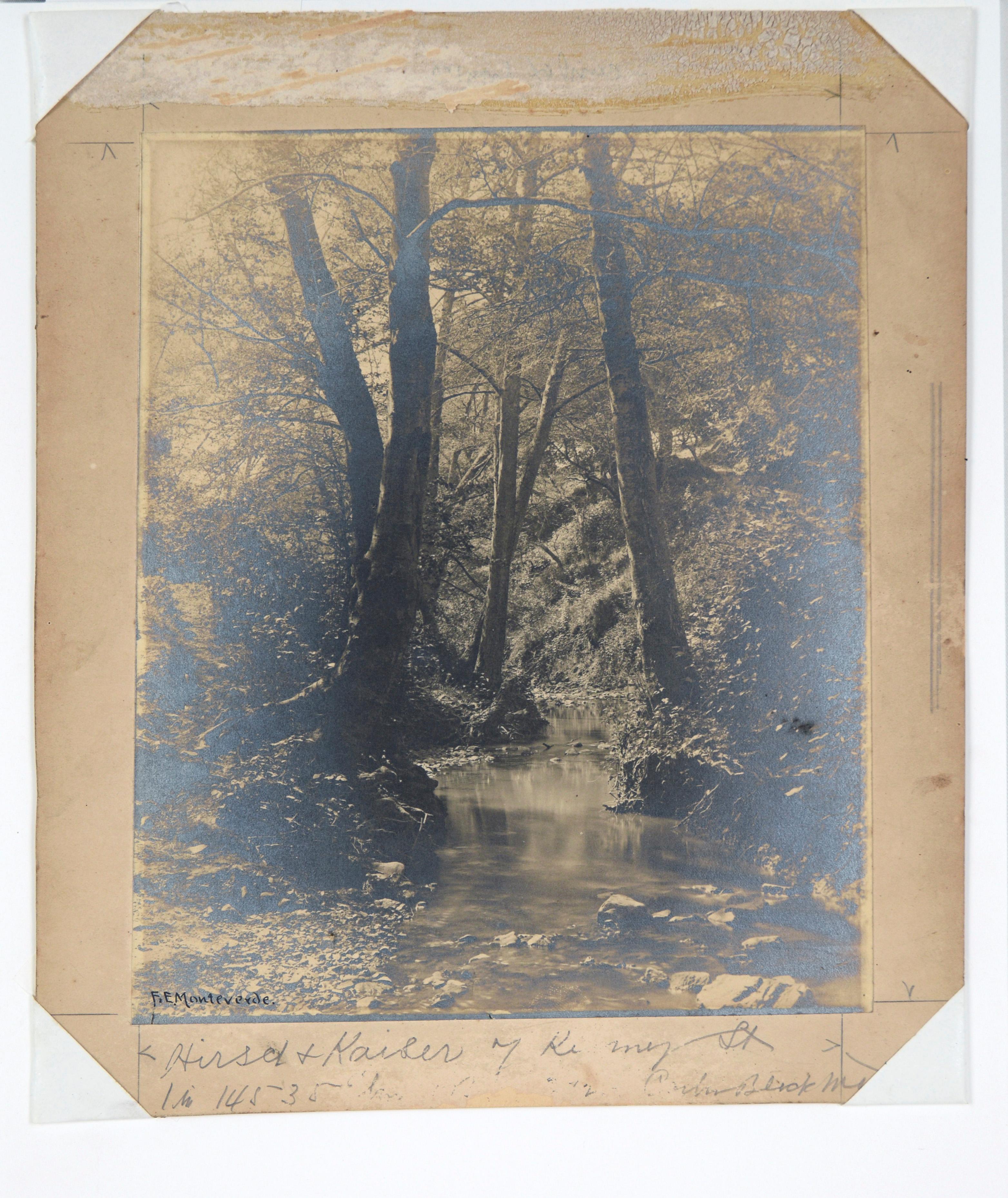 Ruisseau tranquille dans la forêt - Silver Gelatin Print en vente 2