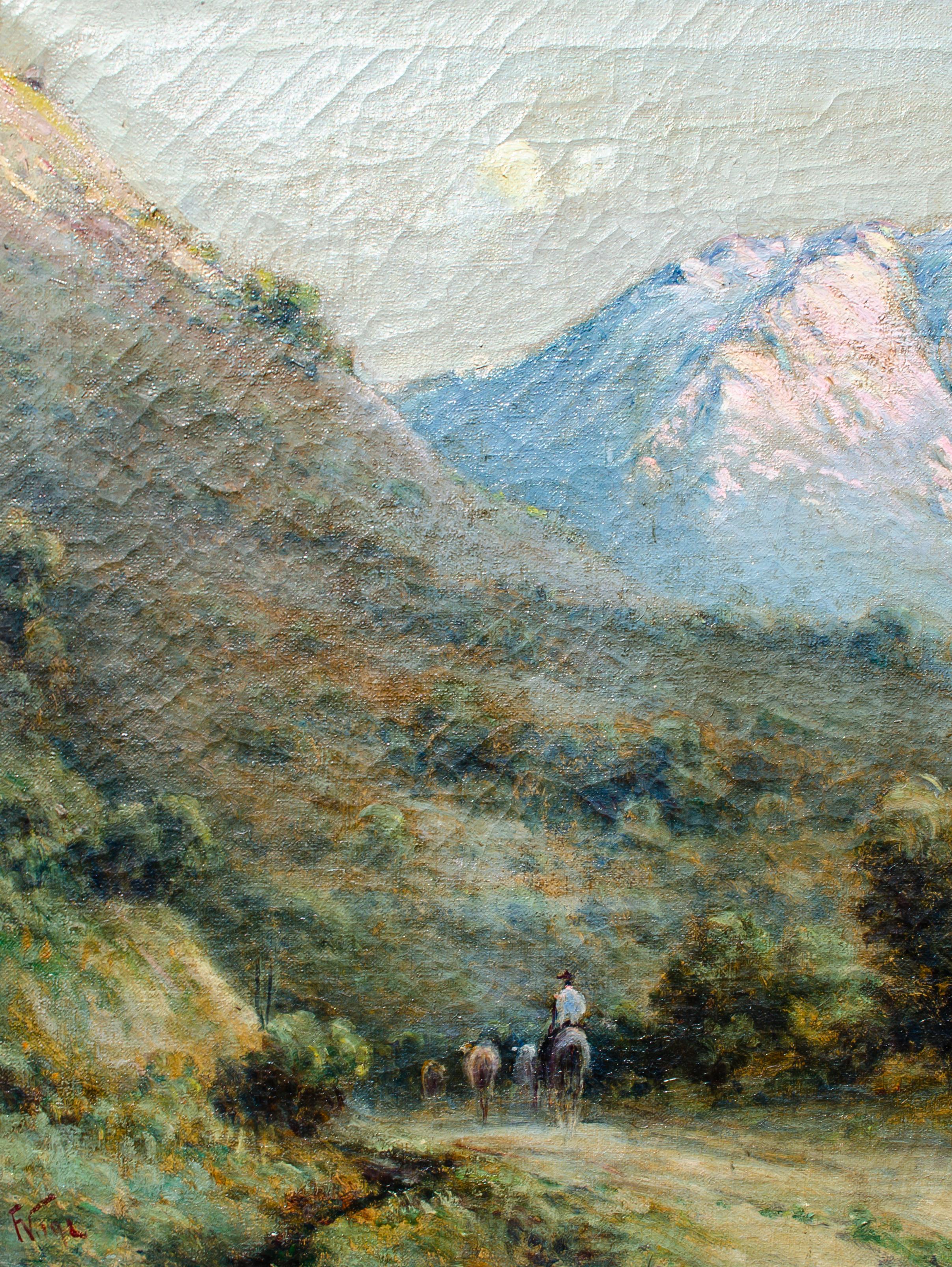 Le Ande, splendido paesaggio cileno di Florencio Vial 2