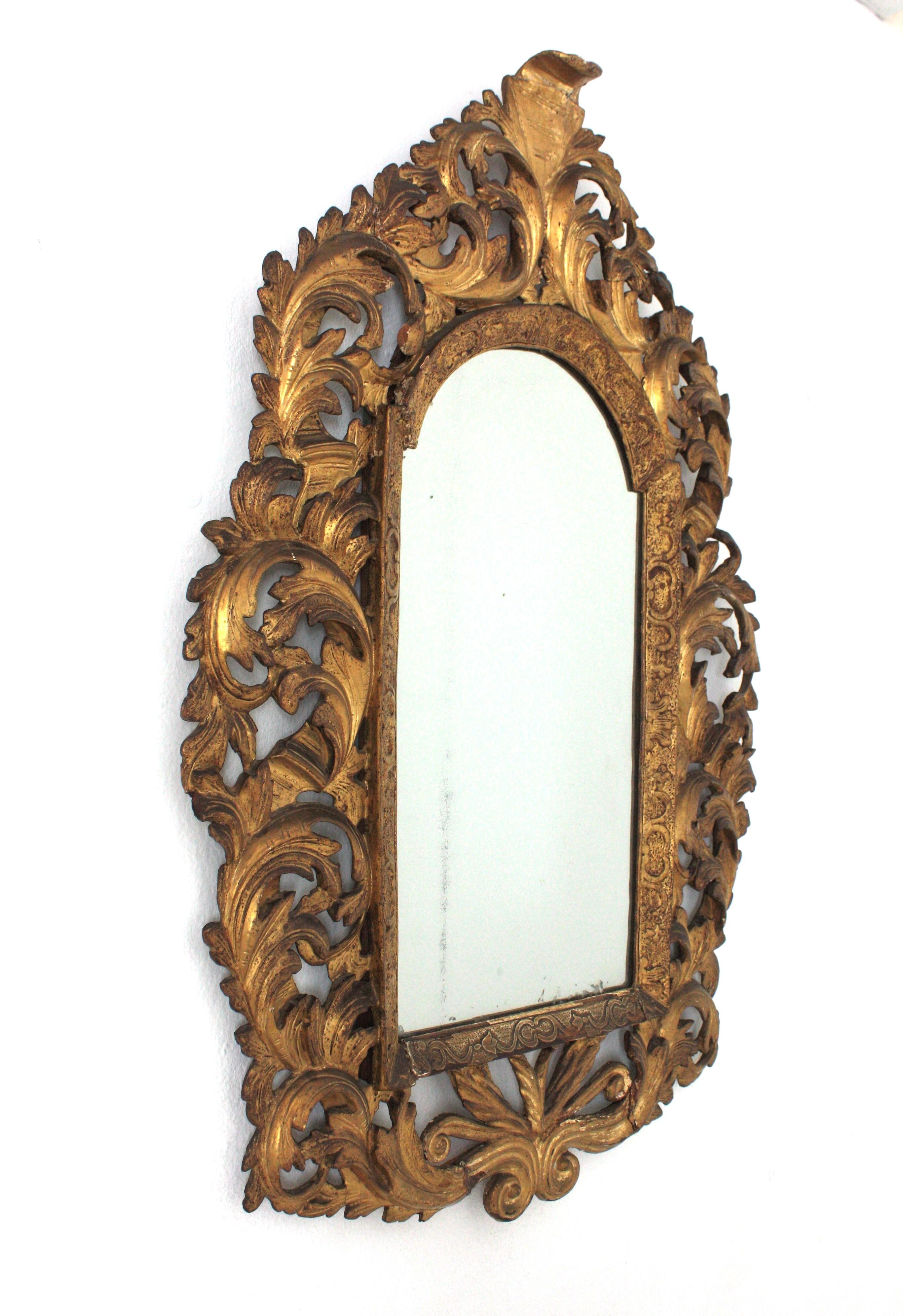 Rococo Florentine Giltwood Mirror with Foliage Frame and Arched Top For Sale