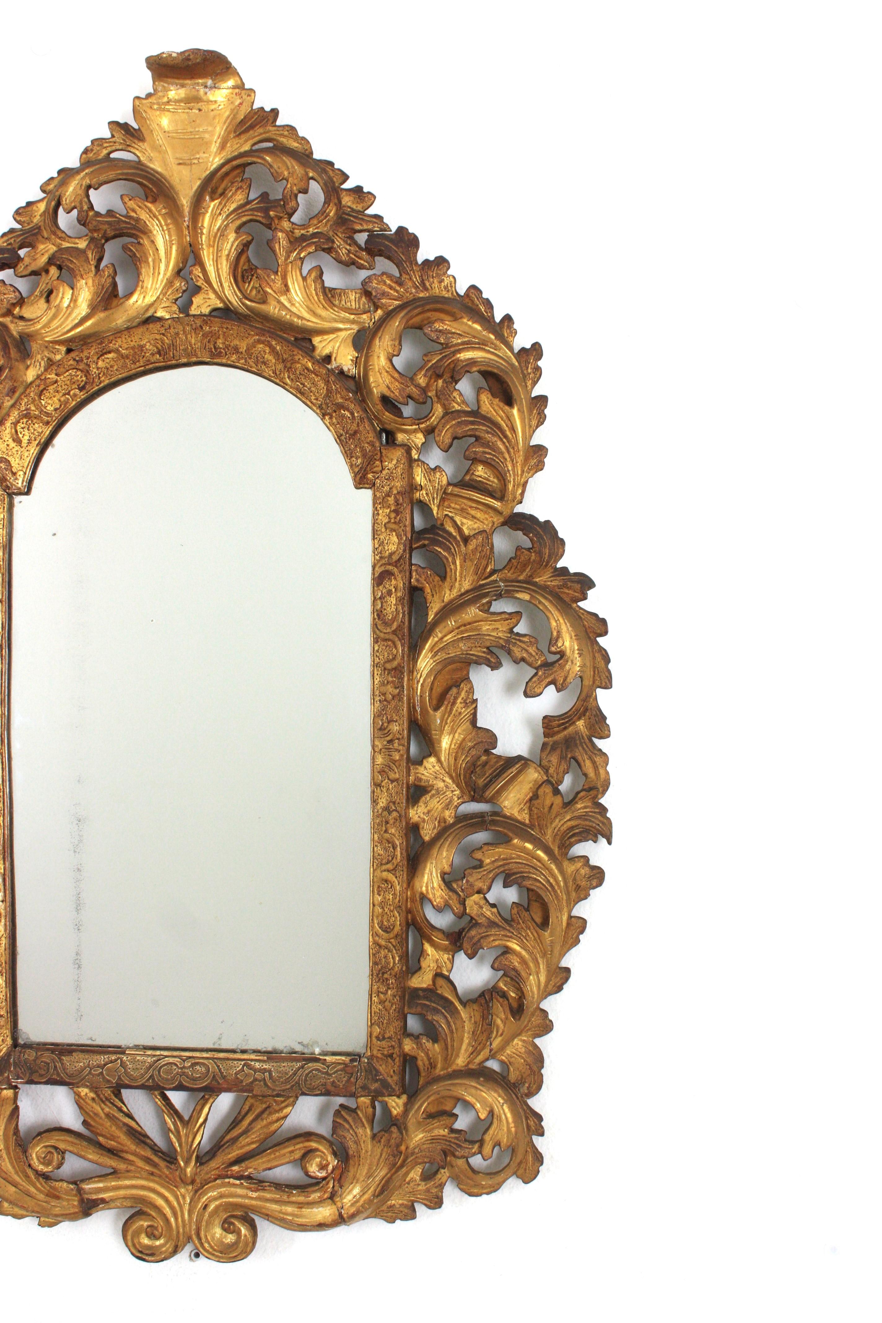 Gesso Florentine Giltwood Mirror with Foliage Frame and Arched Top For Sale