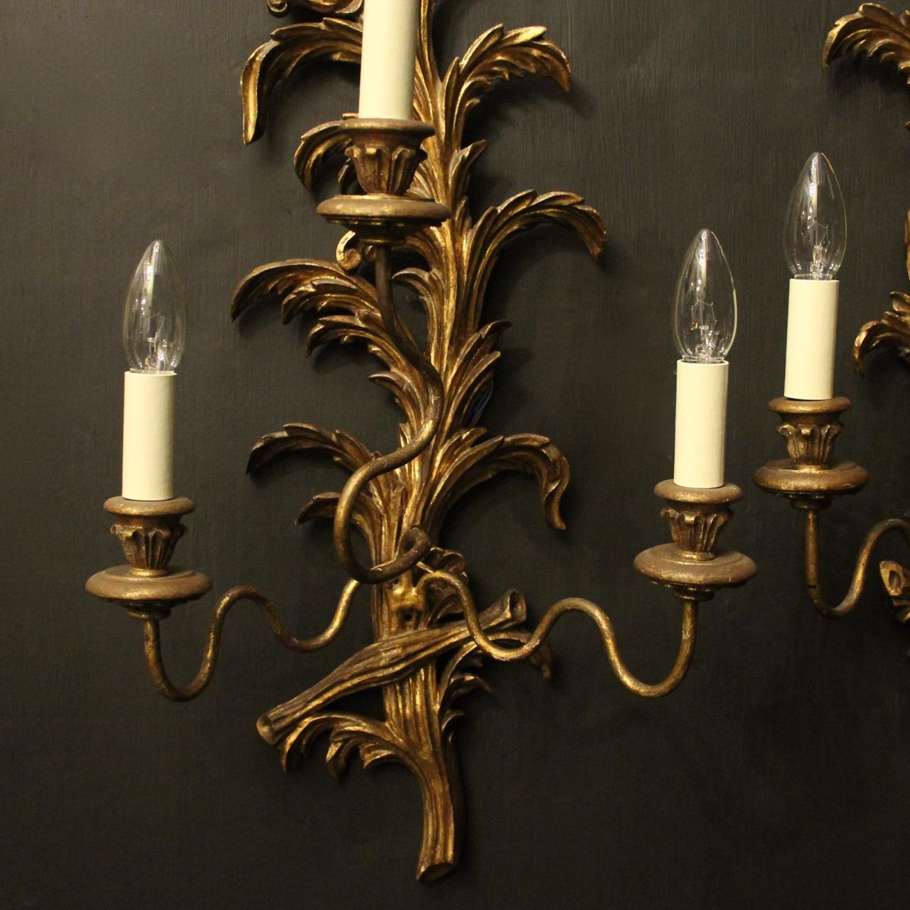 A decorative Italian Florentine gilded carved wood triple arm wall lights, the metal leaf scrolling arms with carved wooden bobeches and leaf candle sconces, issuing from a ornately carved elongated opposing wooden leaf clad backplate, lovely