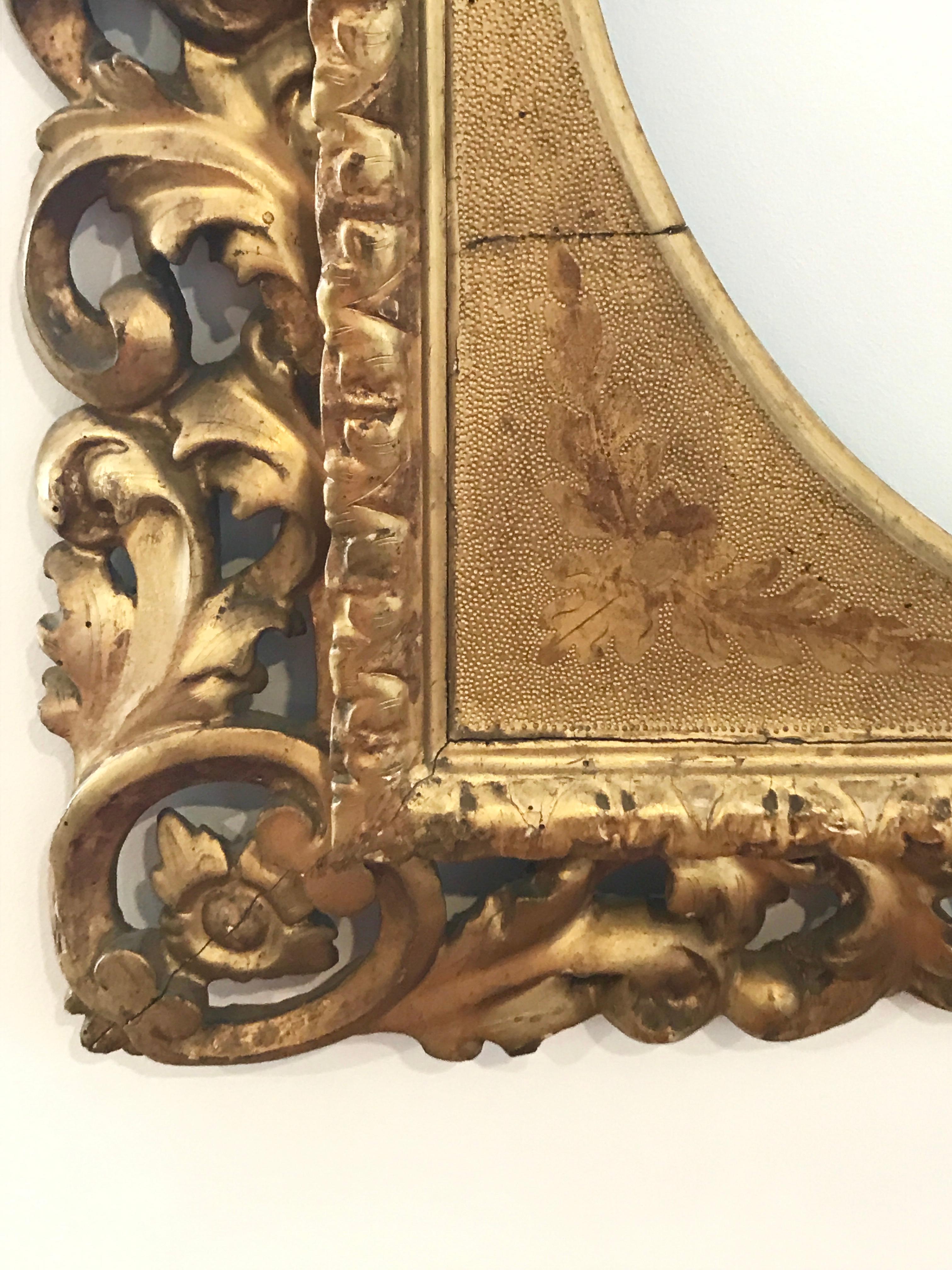 Hand-Carved Florentine Style Italian Carved Frame in Gold with Leafs and Shells, 1885