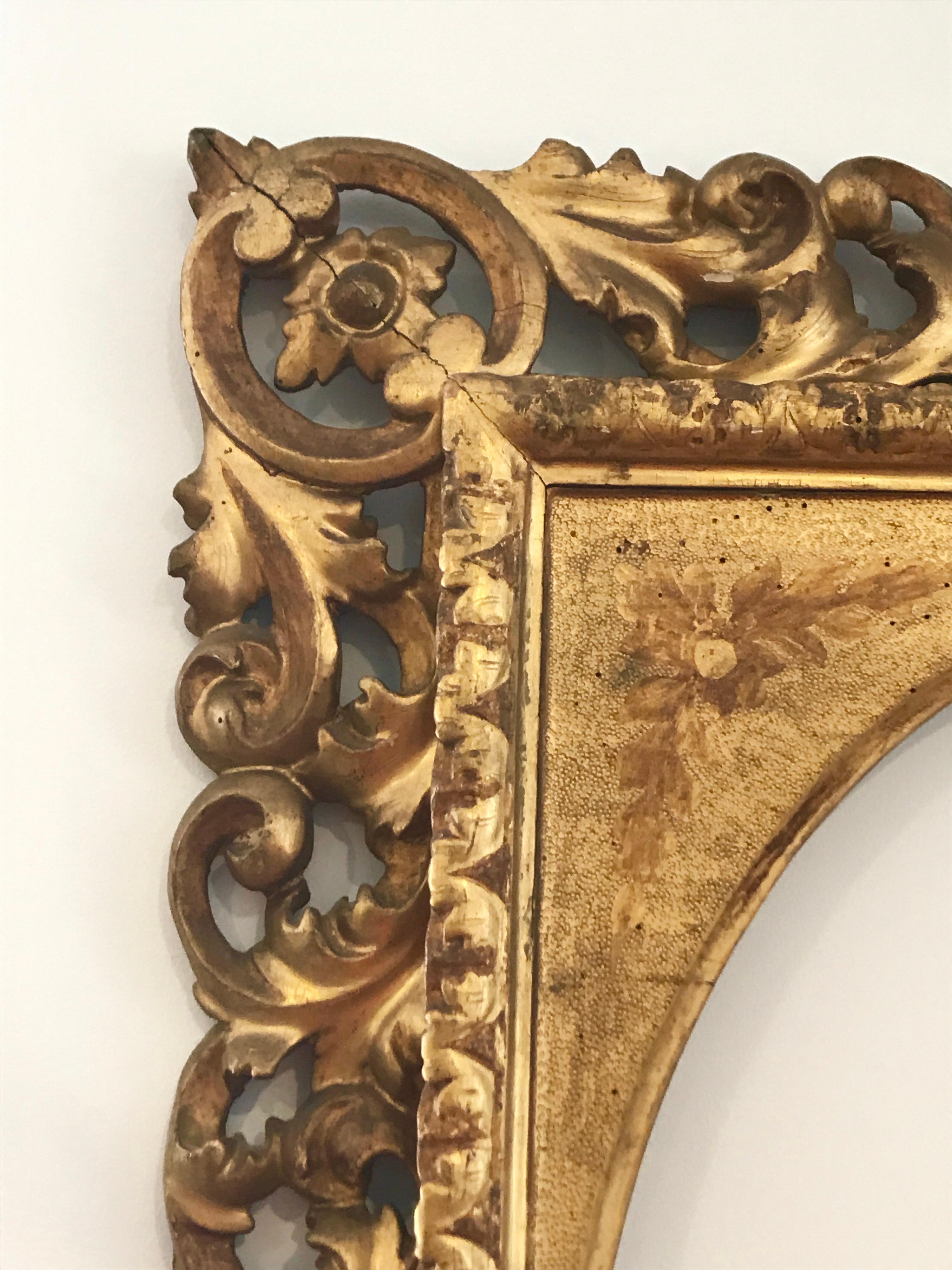 19th Century Florentine Style Italian Carved Frame in Gold with Leafs and Shells, 1885