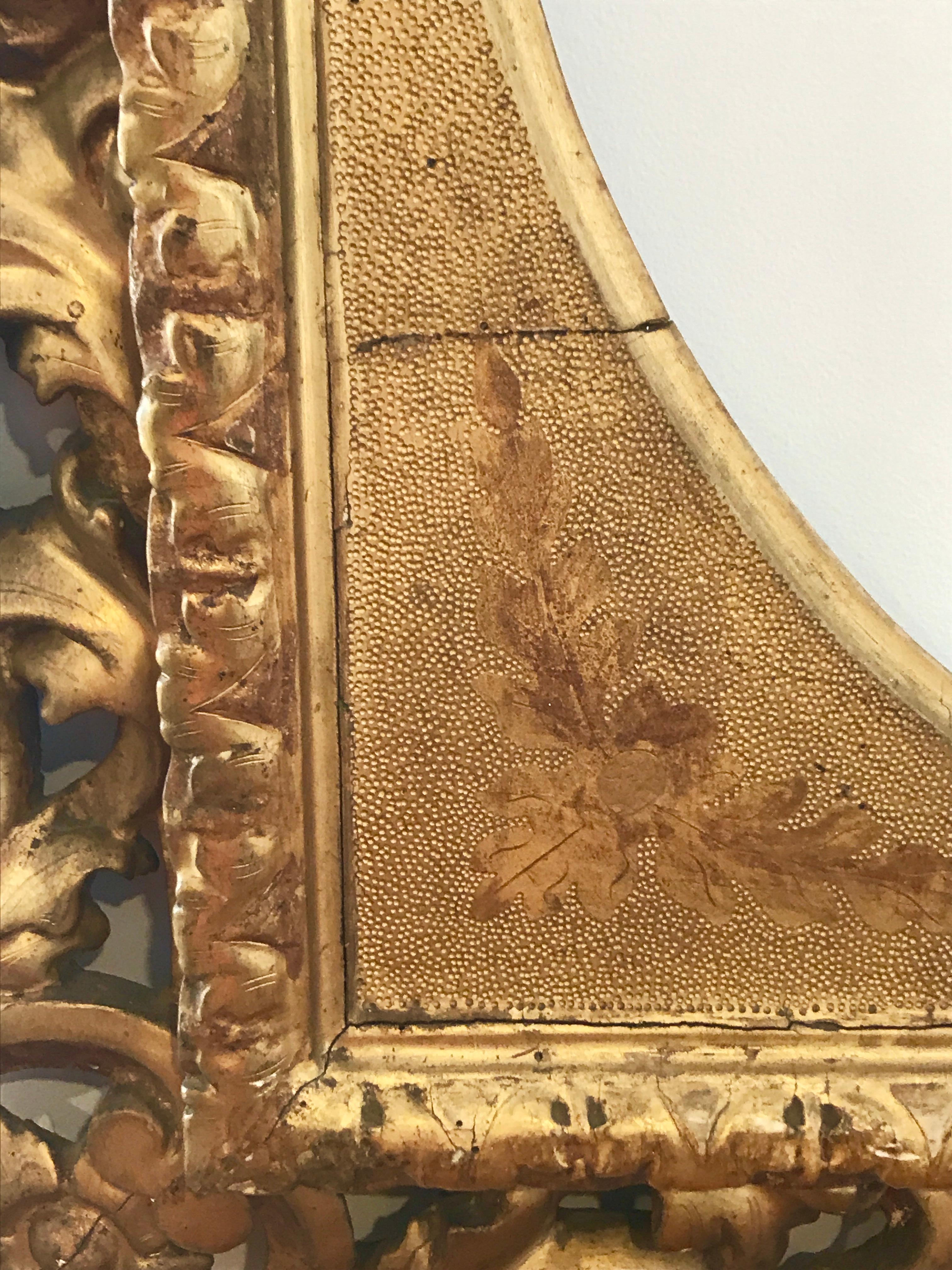 Florentine Style Italian Carved Frame in Gold with Leafs and Shells, 1885 2