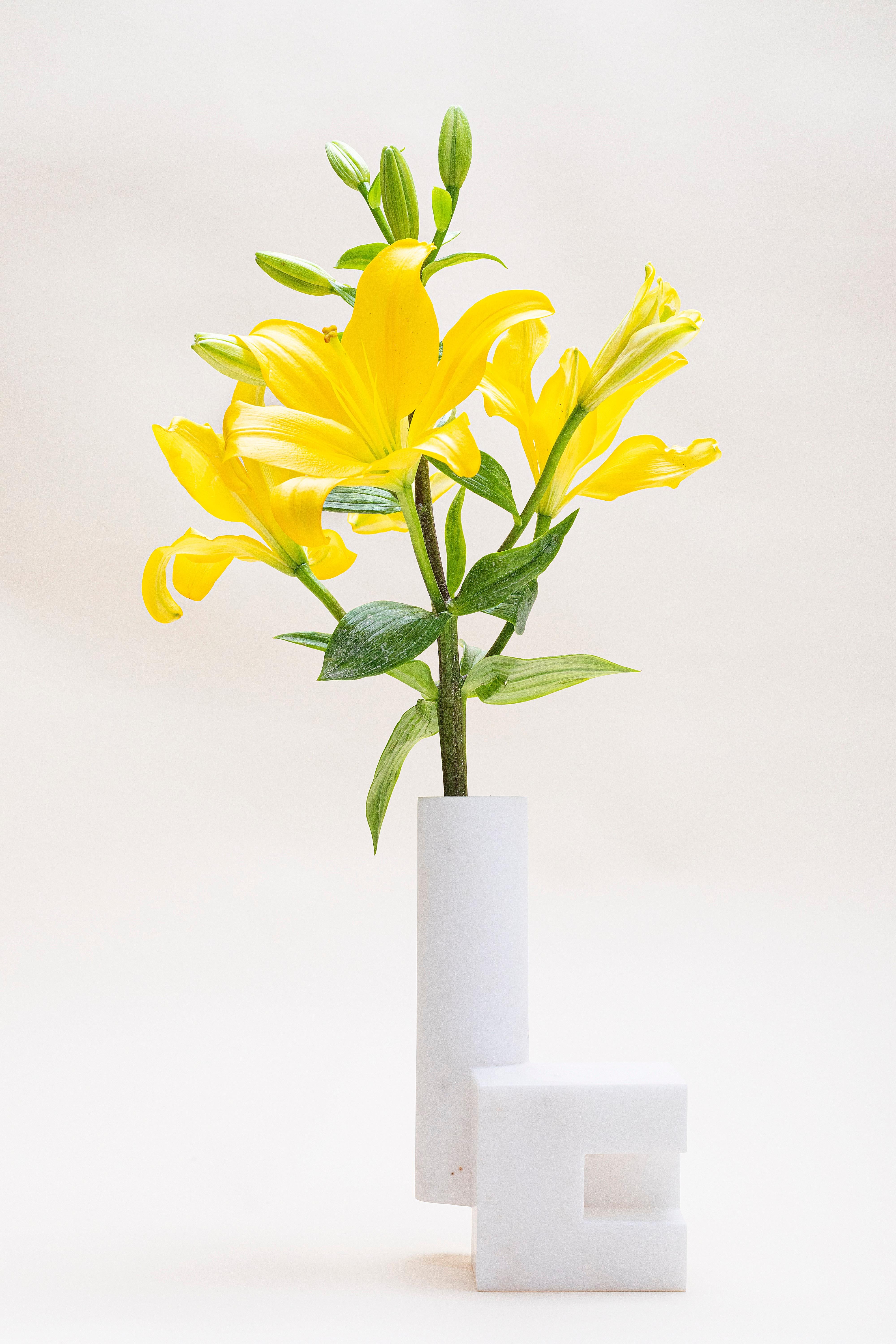 Contemporary Florero Tubo Galeana Vase by Jorge Diego Etienne For Sale