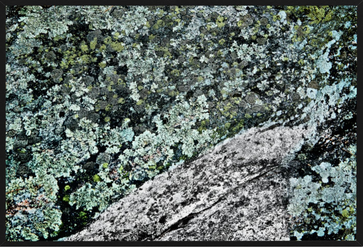 Palette Muskoka Canada - ornamental colour shot of green moss and grey rocks - Photograph by Florian Innerkofler