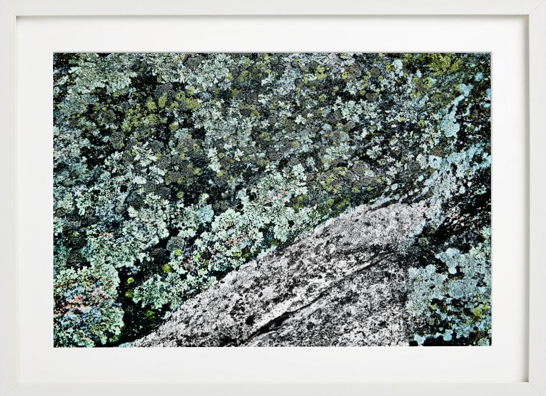 Palette Muskoka Canada - ornamental colour shot of green moss and grey rocks - Contemporary Photograph by Florian Innerkofler