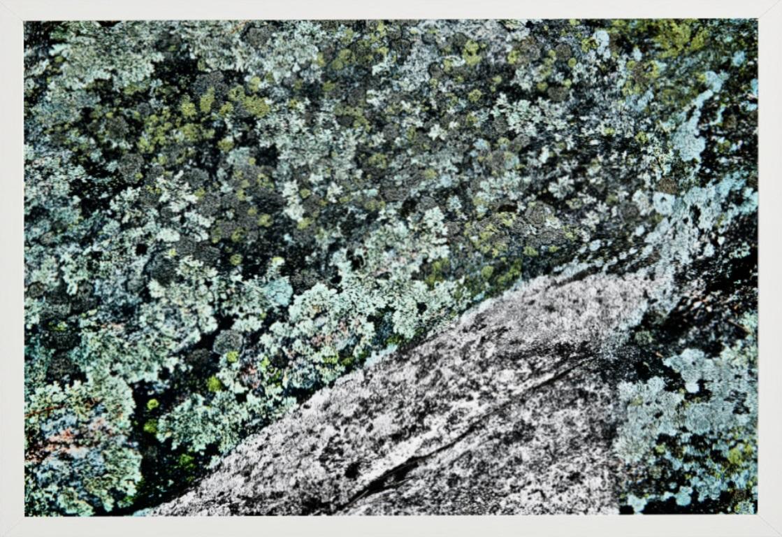 Palette Muskoka Canada - ornamental colour shot of green moss and grey rocks - Gray Color Photograph by Florian Innerkofler