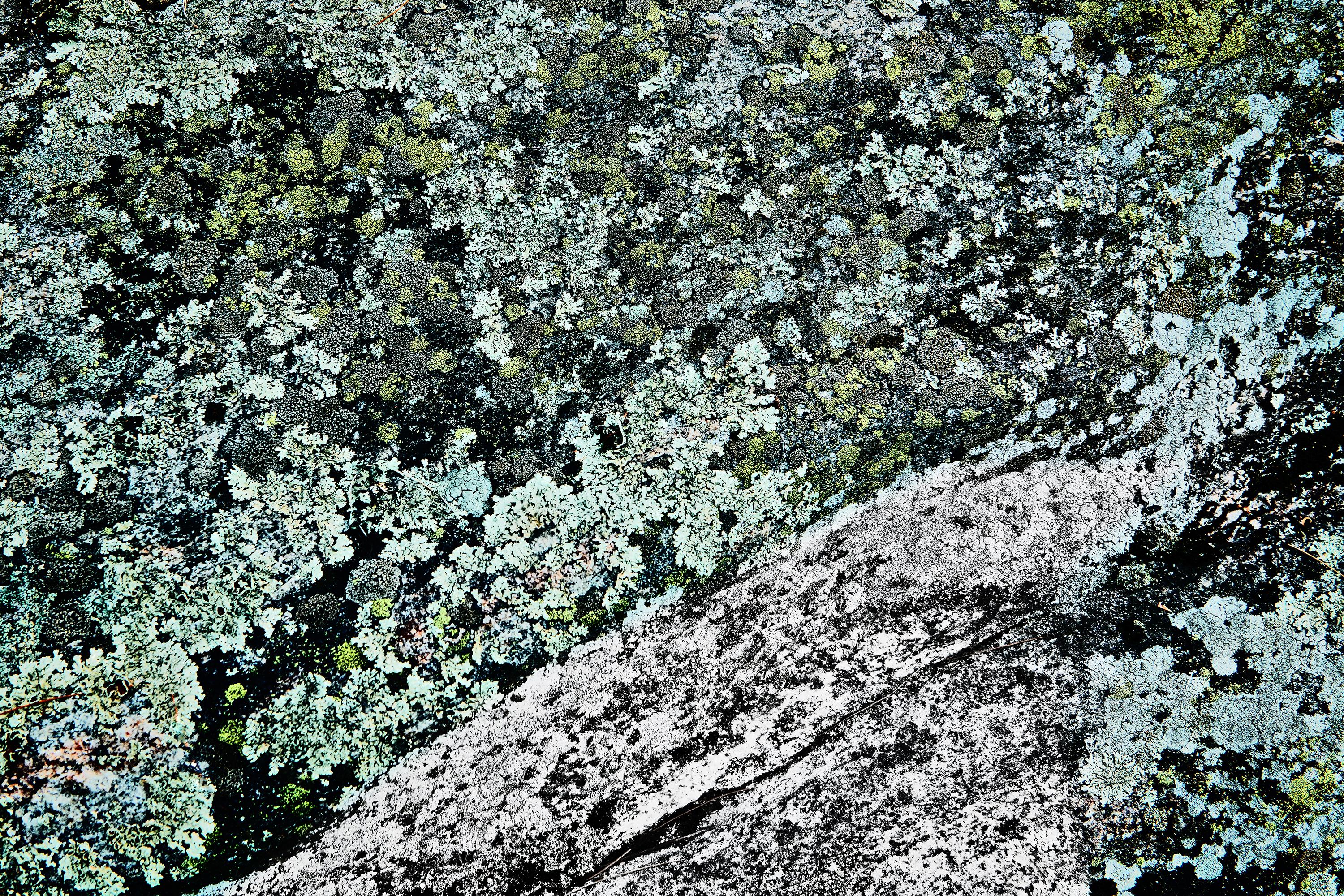 Florian Innerkofler Color Photograph - Palette Muskoka Canada - ornamental colour shot of green moss and grey rocks