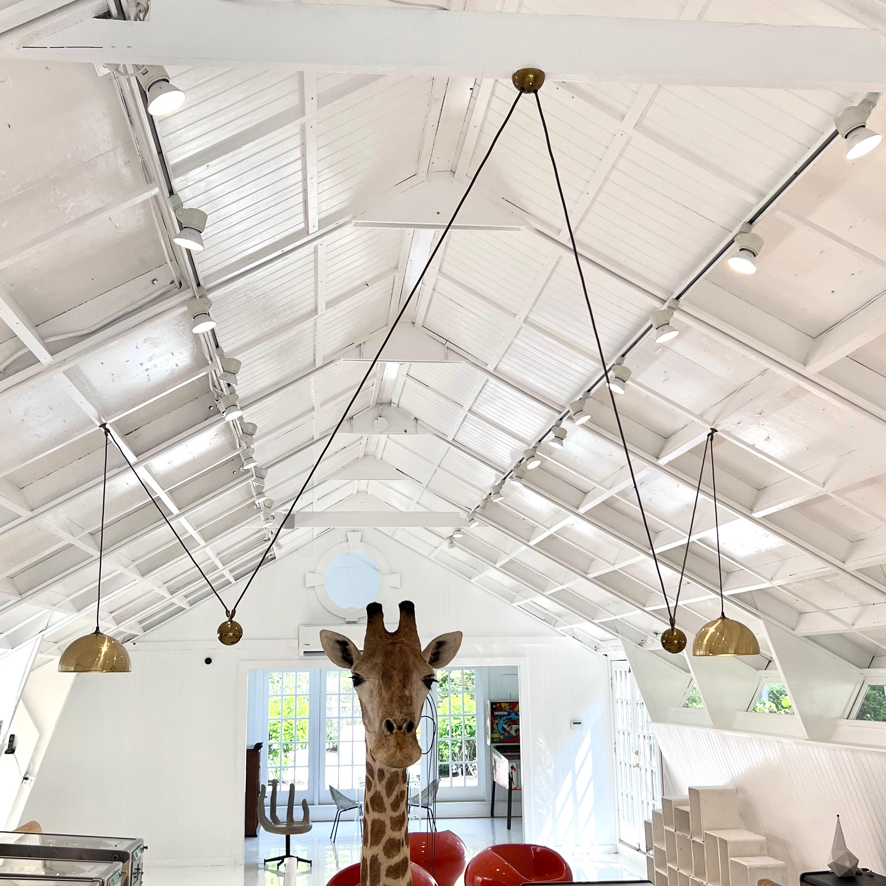 Florian Schulz Brass Double Counter Balance Adjustable Chandelier, 1980s Germany Bon état - En vente à Los Angeles, CA
