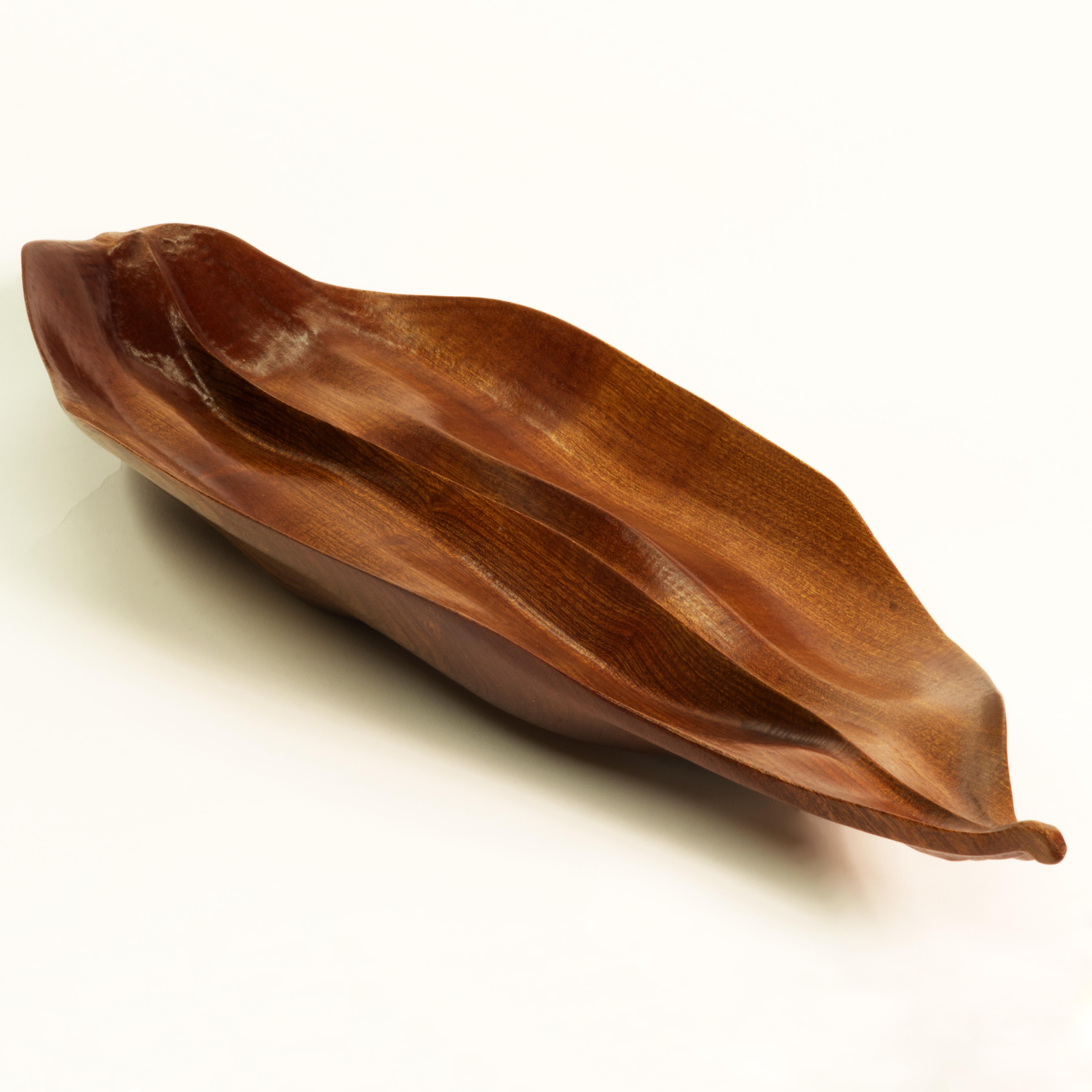 American Florimel Organic Bowl in Mahogany For Sale