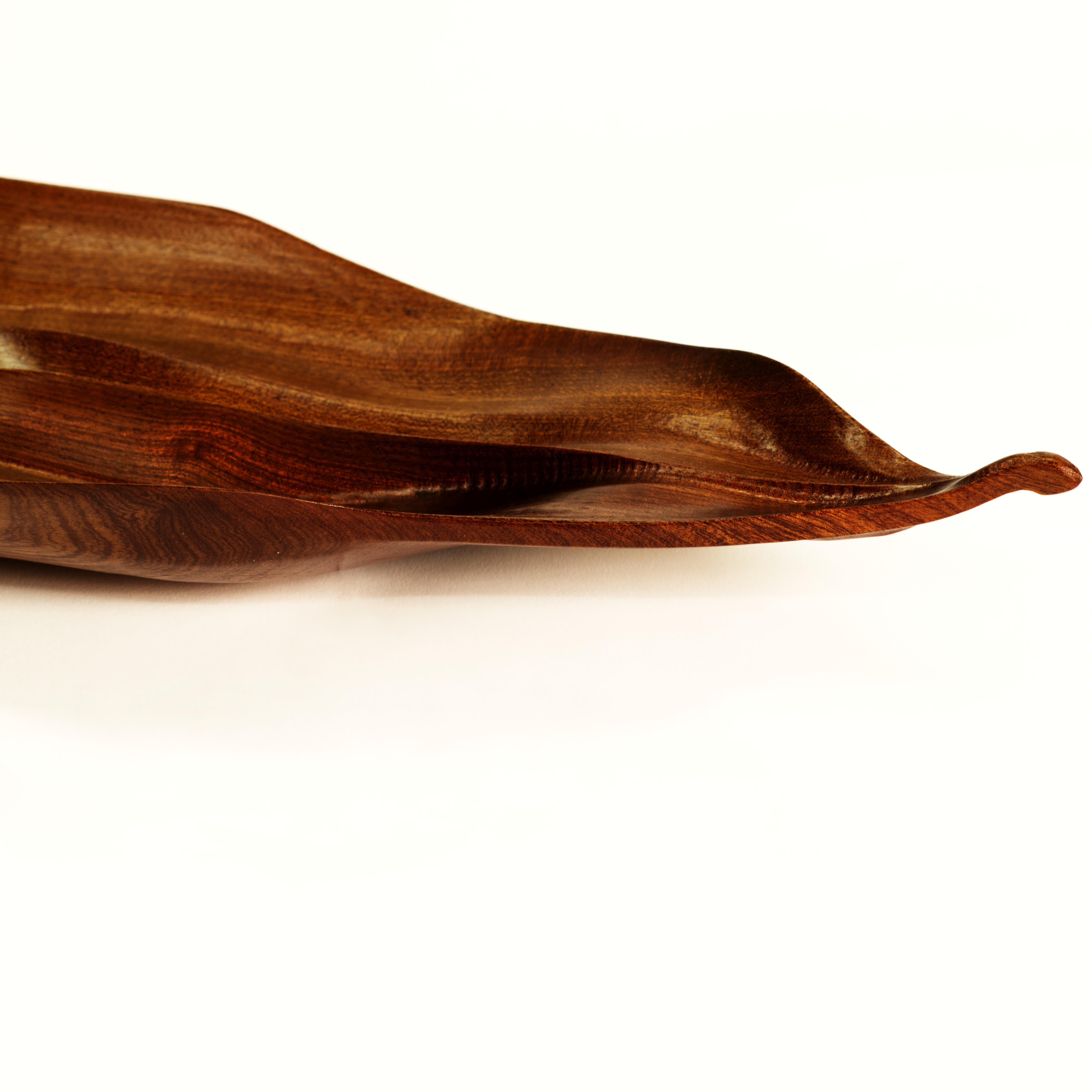 Oiled Florimel Organic Bowl in Mahogany For Sale