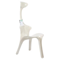Used Floris Chair by Gunter Beltzig