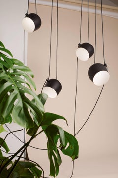 Bouroullec Modern Black Hanging Pendant Small Aim Five Light & Canopy for FLOS